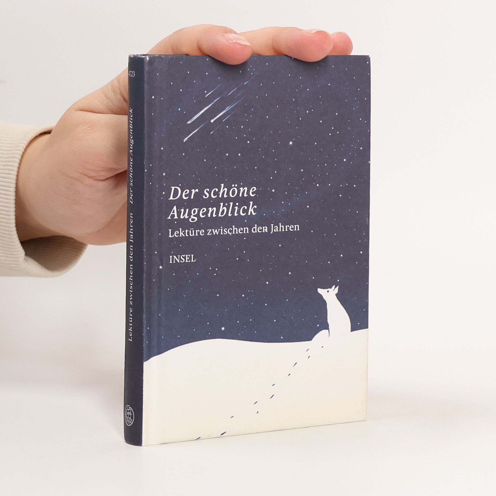 Der schöne Augenblick