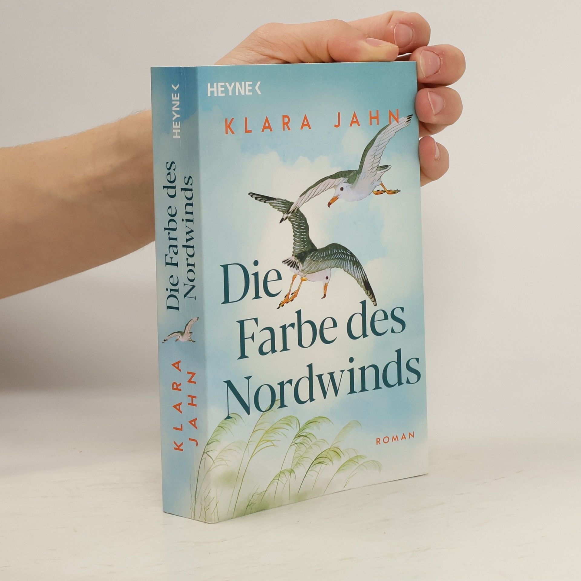 Klara Jahn Die Farbe des Nordwinds