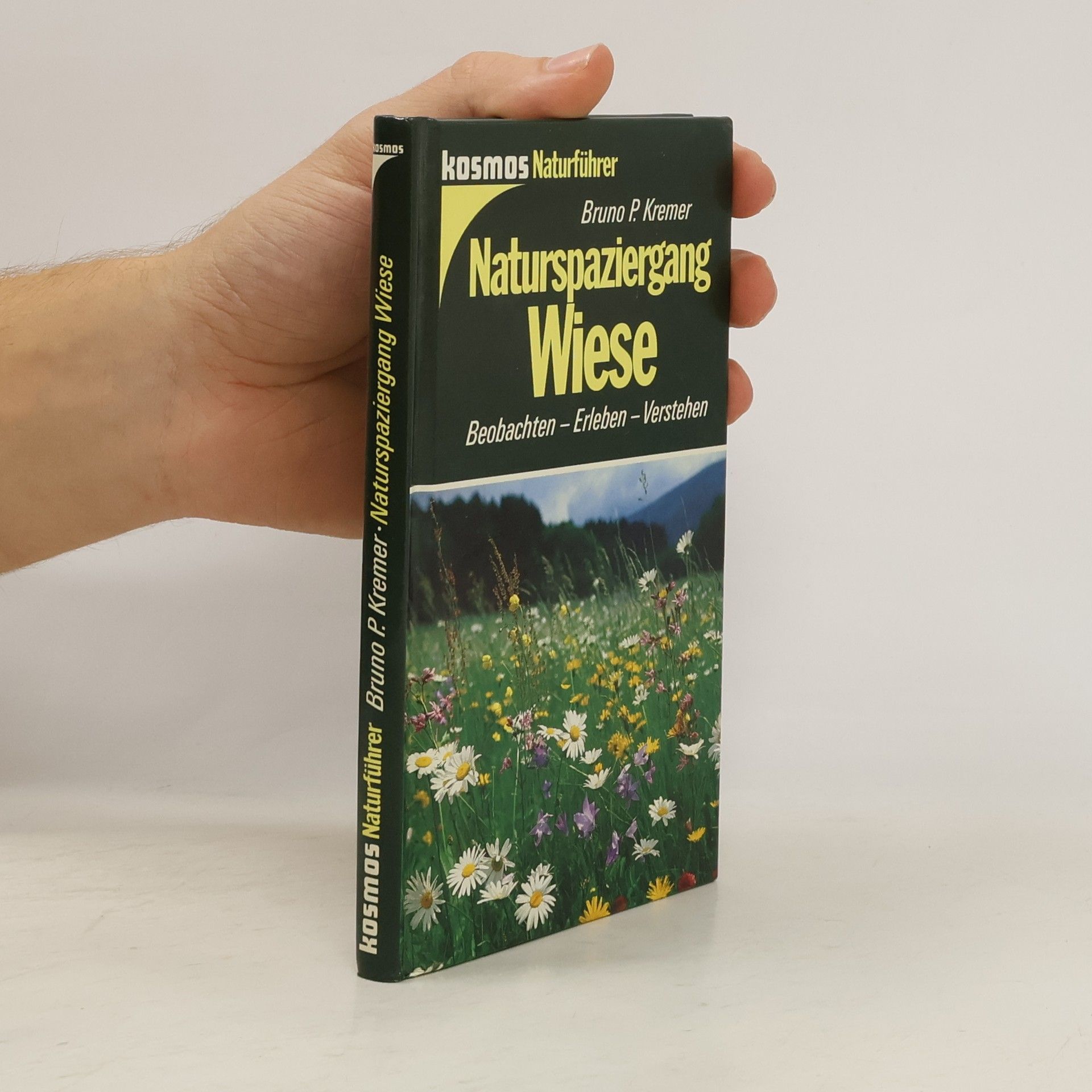 Bruno Kremer Naturspaziergang Wiese: Beobachten - Erleben - Verstehen