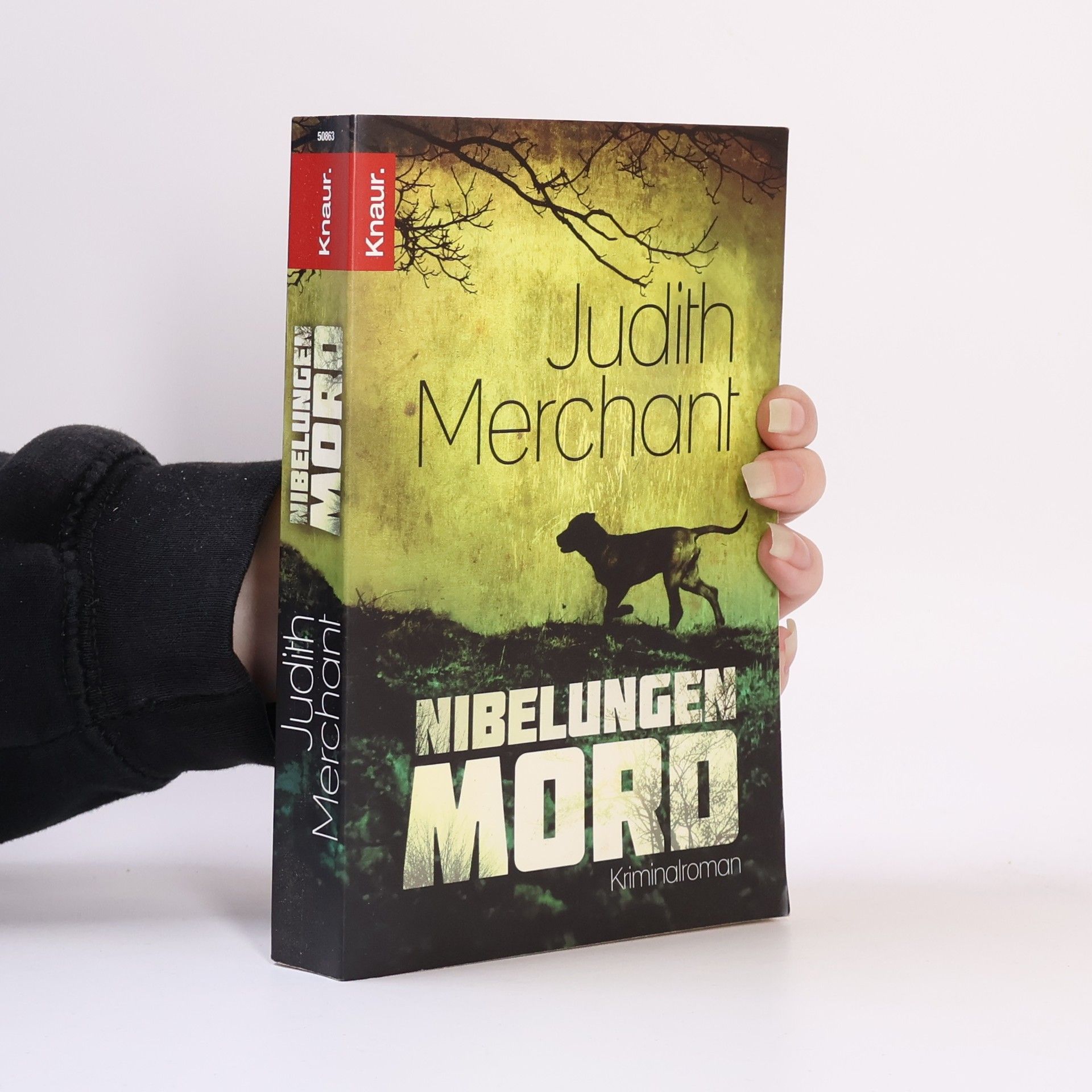 Nibelungenmord