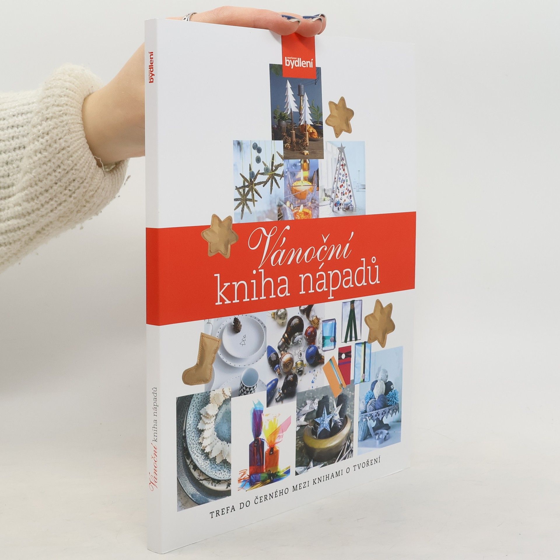 Kolektiv autorů Vánoční kniha nápadů