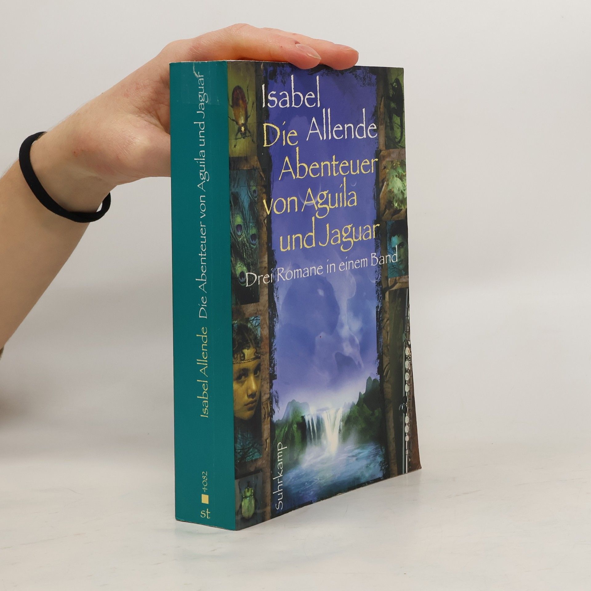 Die Abenteuer von Aguila und Jaguar