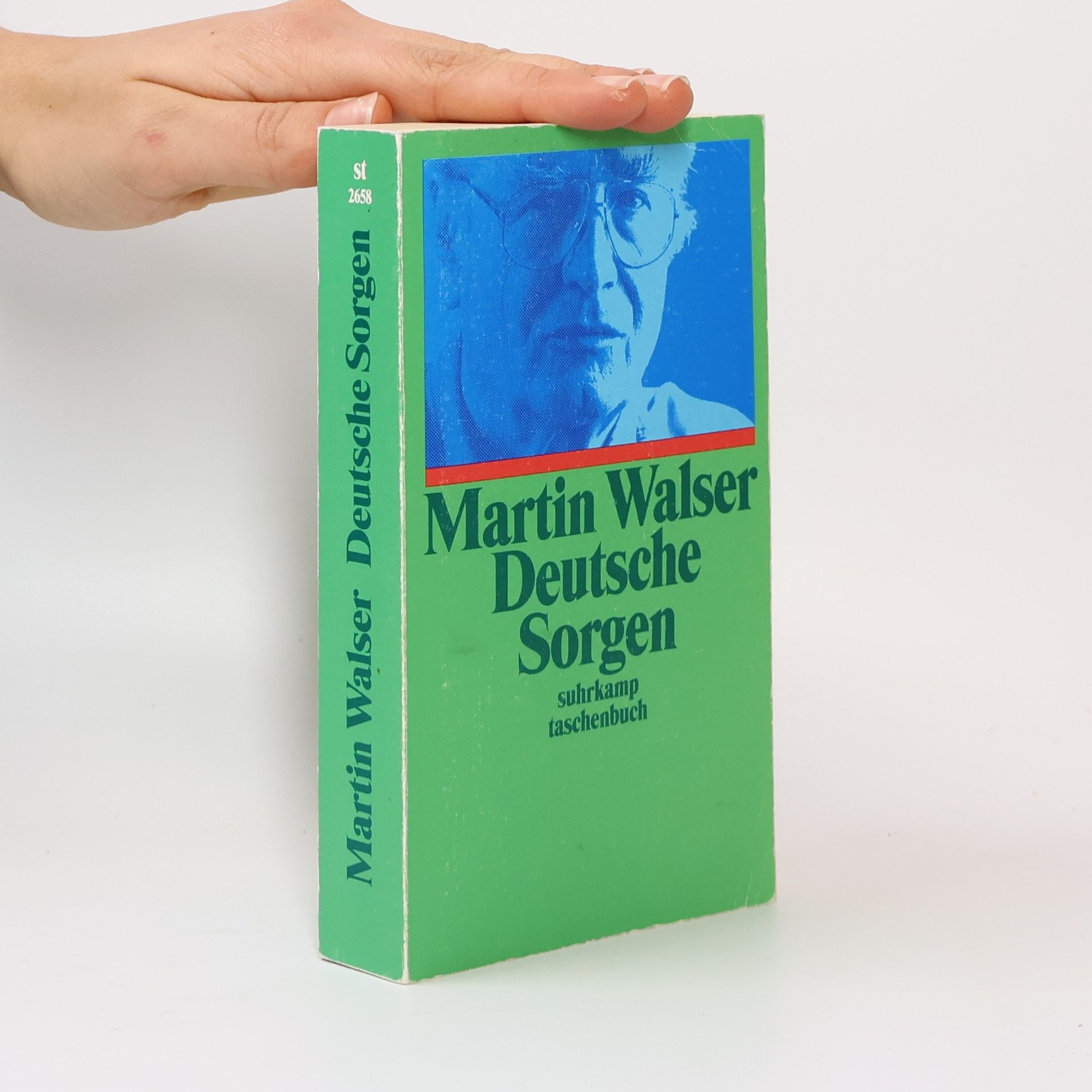 Martin Walser Deutsche Sorgen