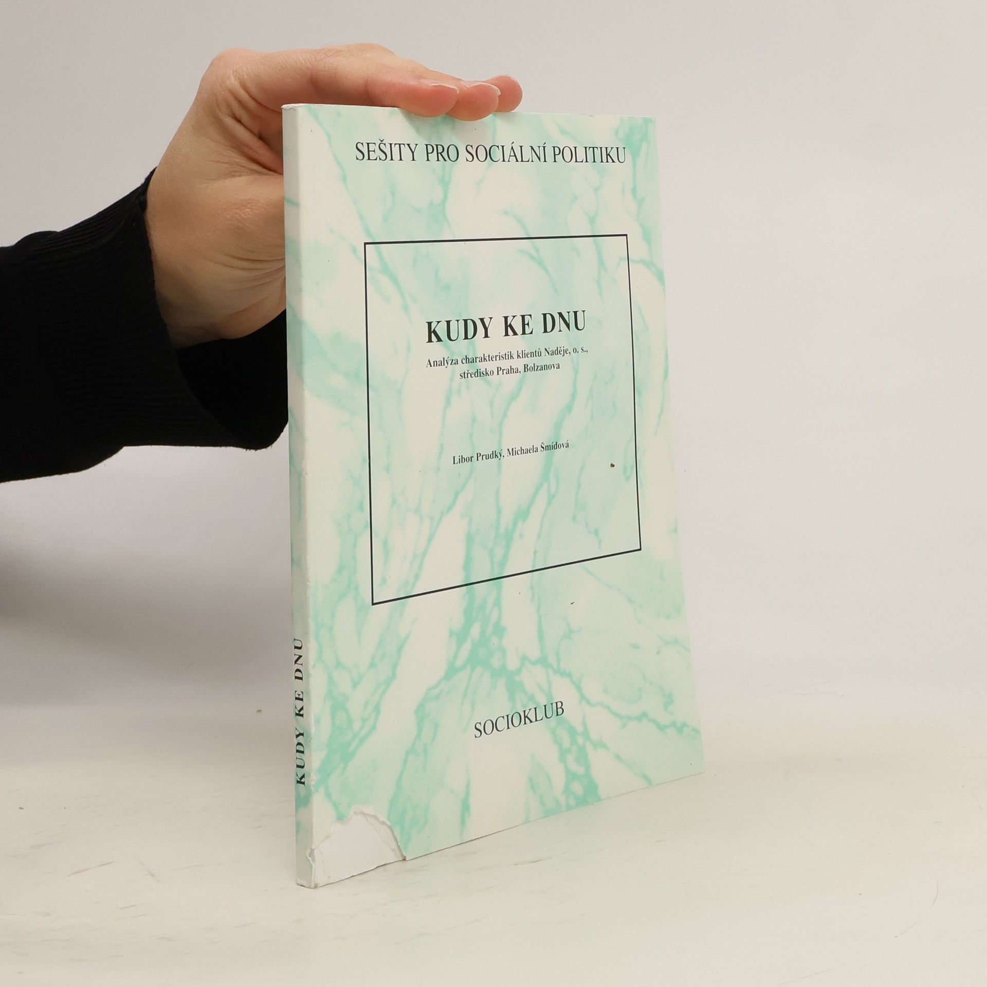 Libor Prudký Kudy ke dnu : analýza charakteristik klientů Naděje, o.s., středisko Praha, Bolzanova