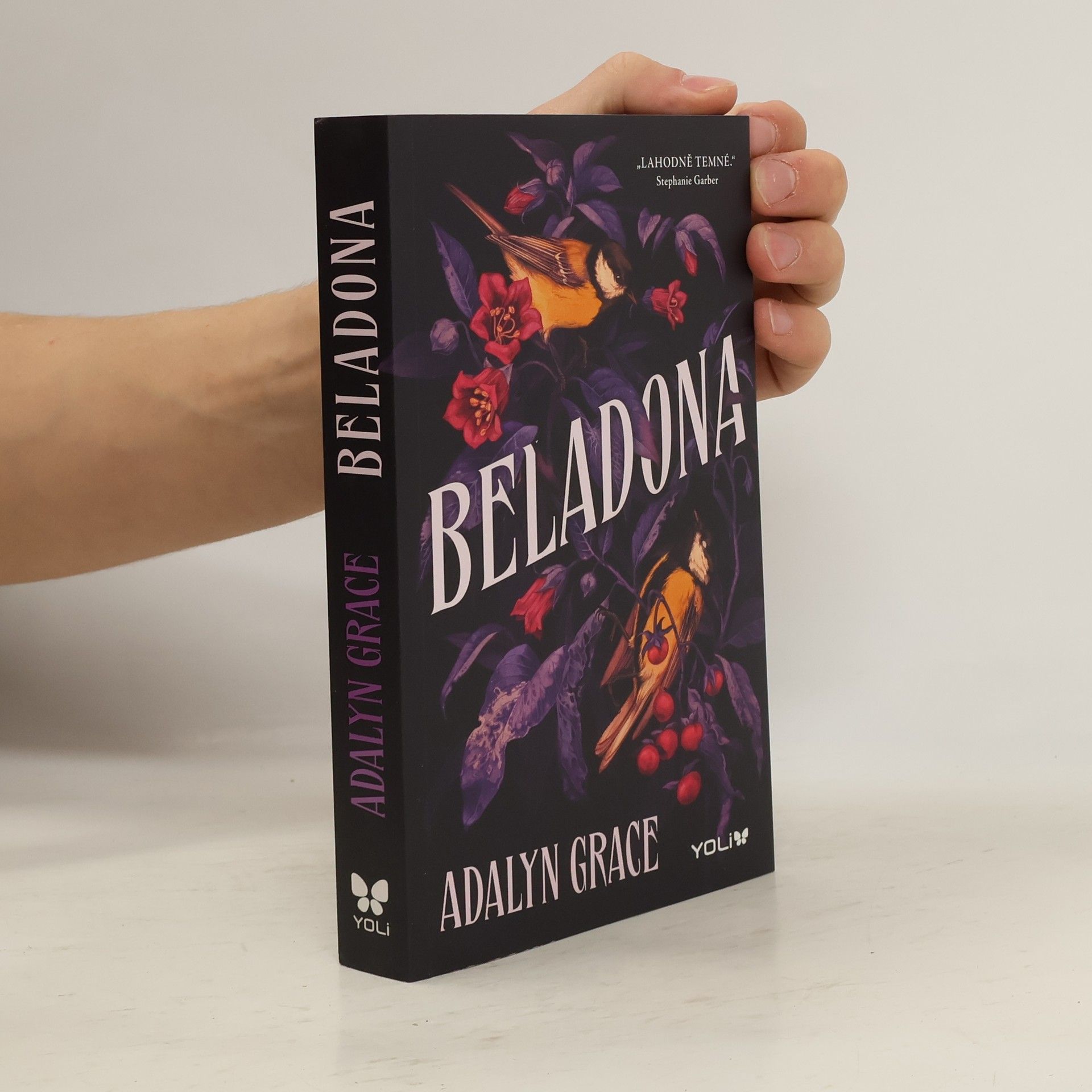 Adalyn Grace Beladona