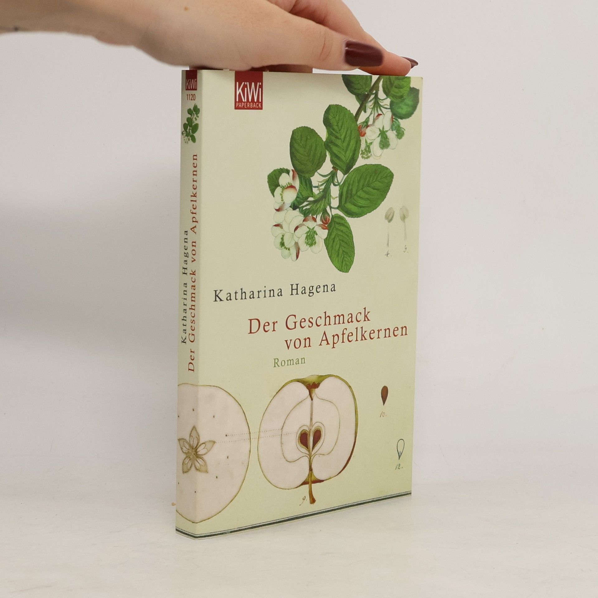 Katharina Hagena Der Geschmack von Apfelkernen