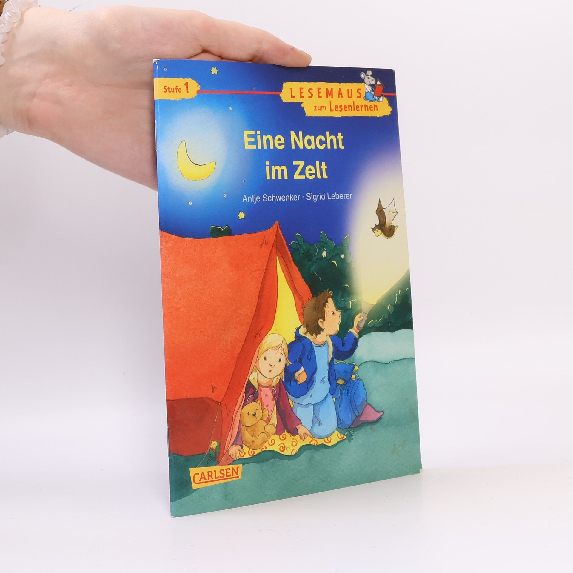 Lesemaus - 1: Eine Nacht im Zelt