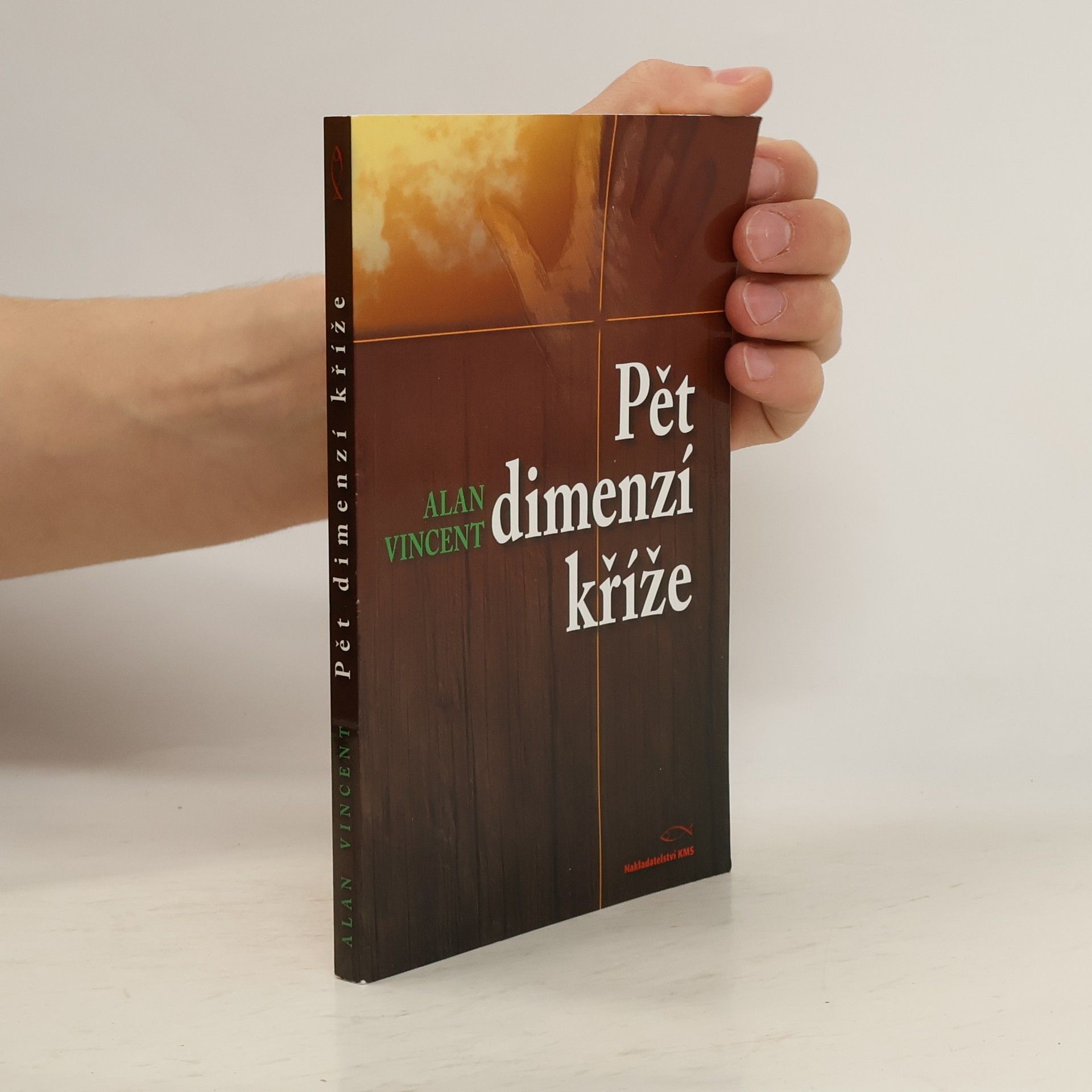 Alan Vincent Pět dimenzí kříže