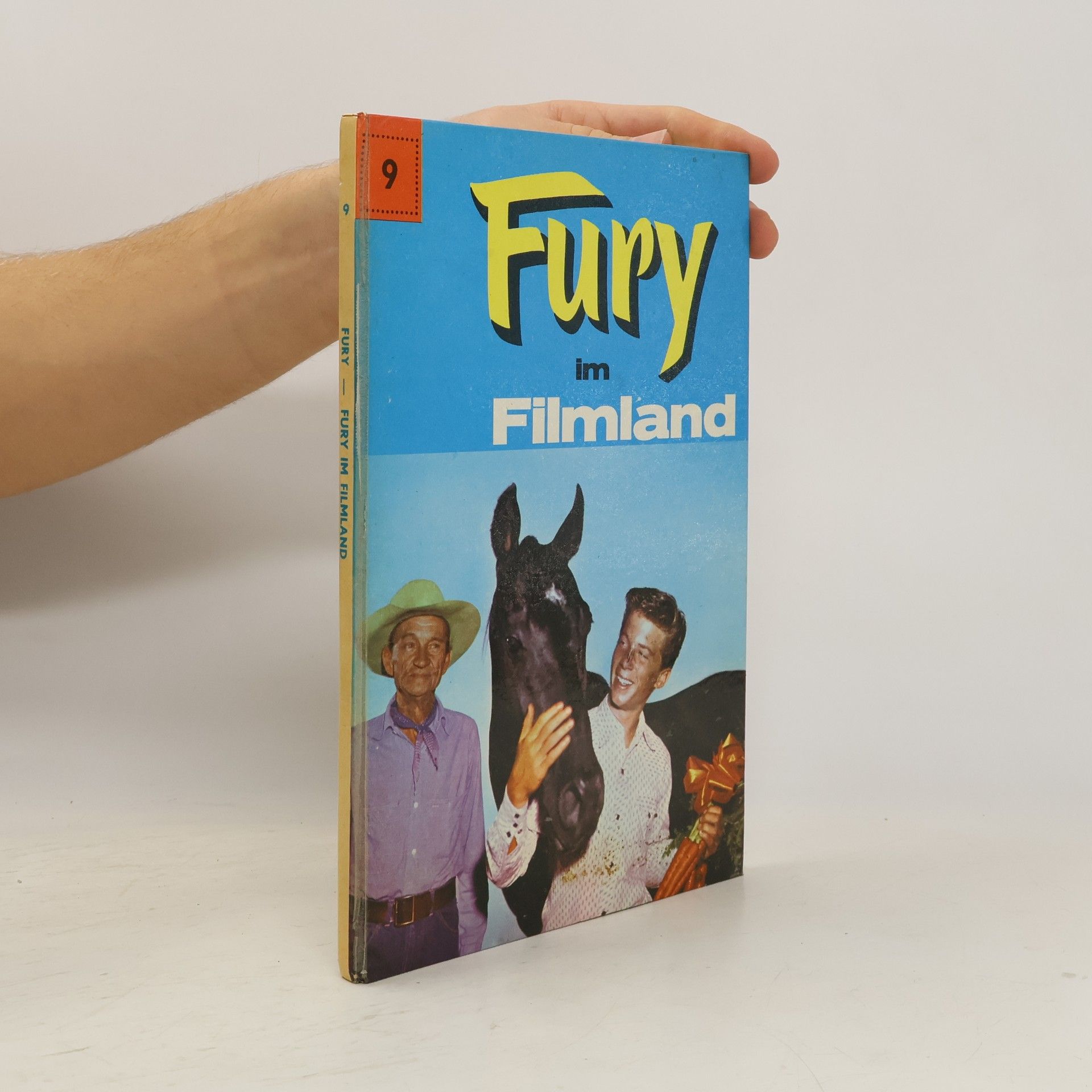 Collectif d'auteurs Fury im Filmland 9