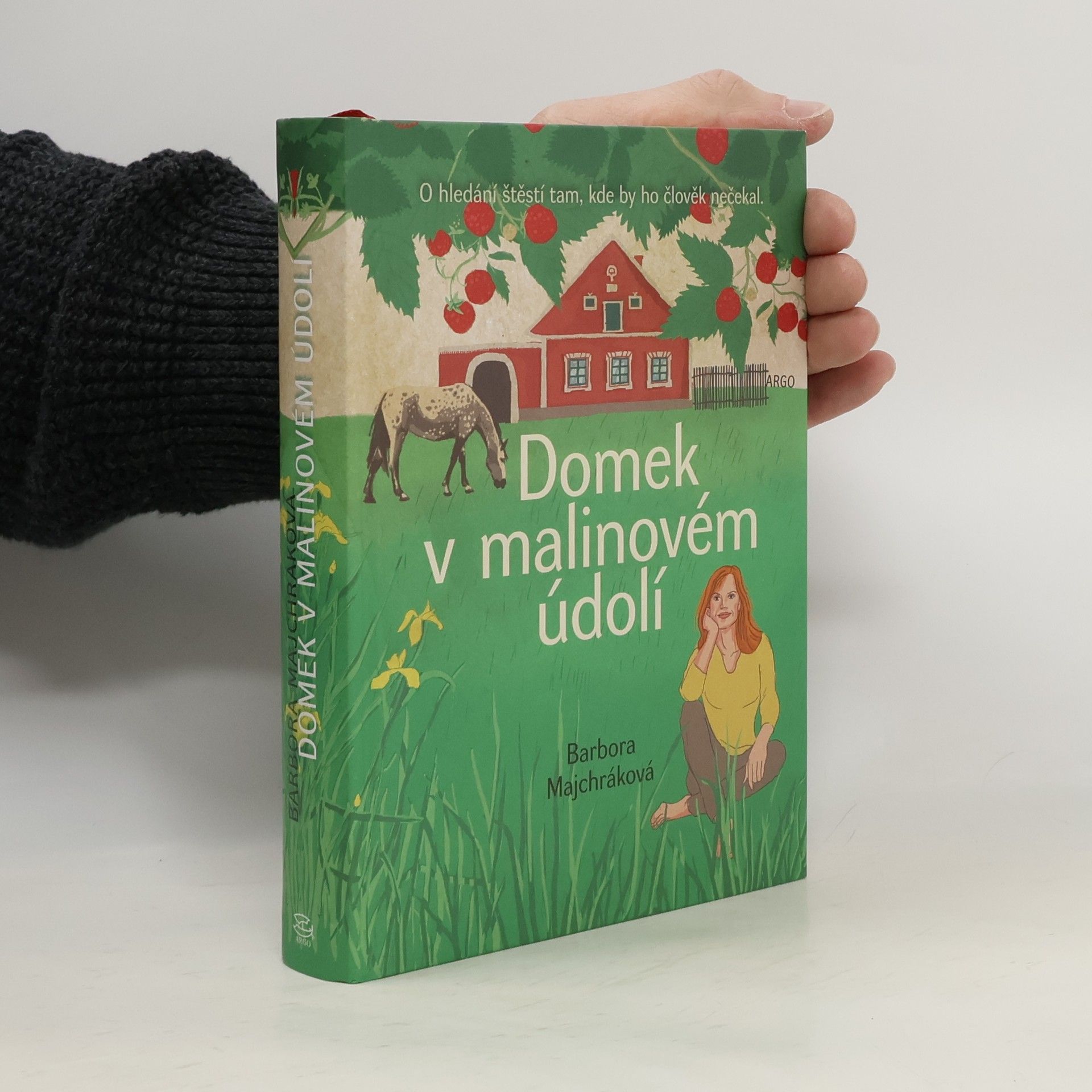 Domek v malinovém údolí
