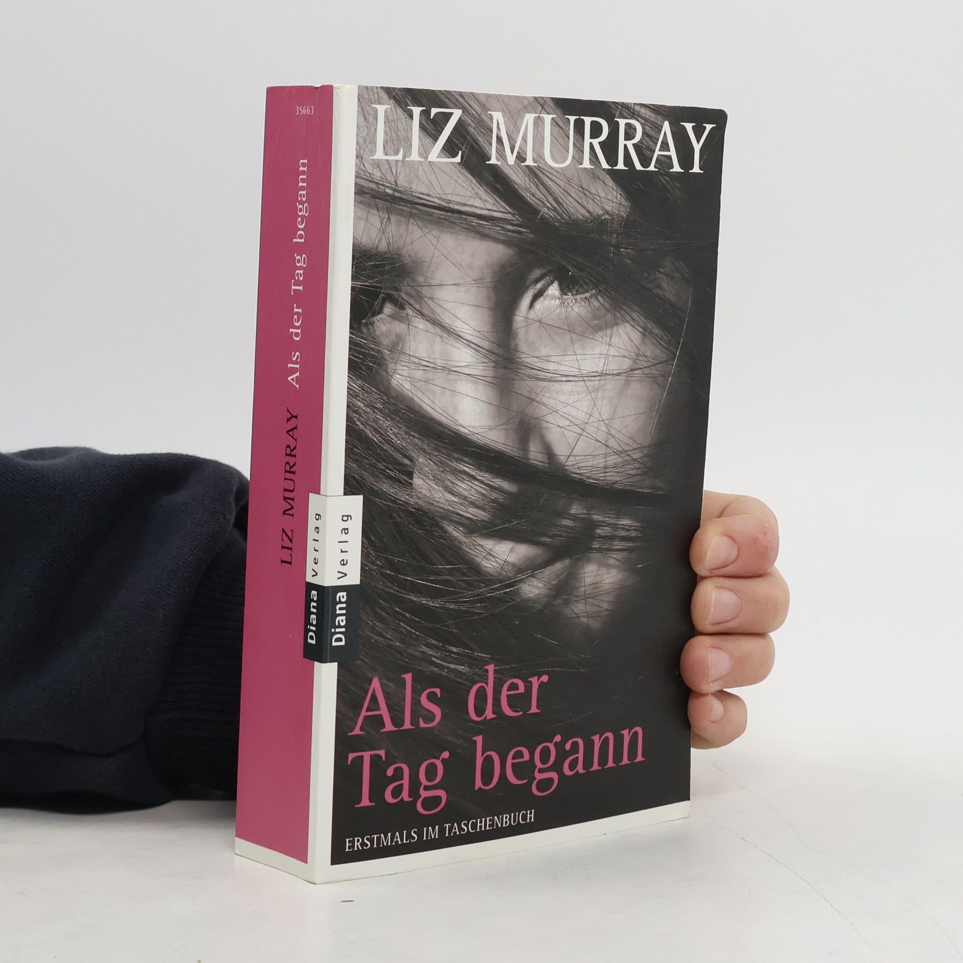 Liz Murray Als der Tag begann