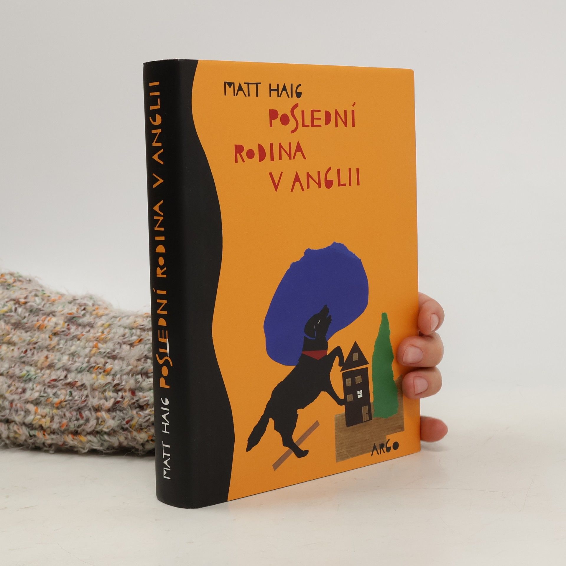 Matt Haig Poslední rodina v Anglii