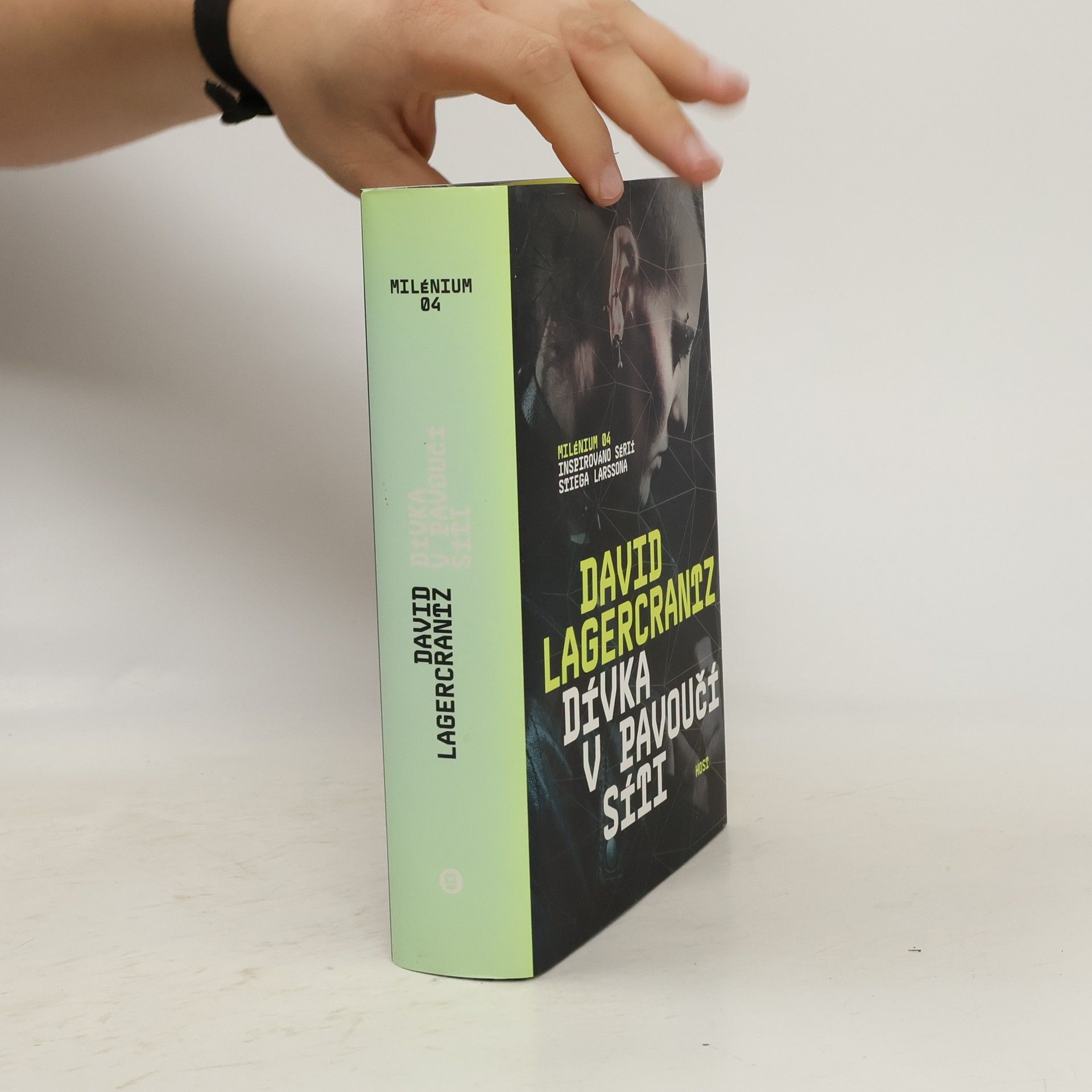 David Lagercrantz Dívka v pavoučí síti