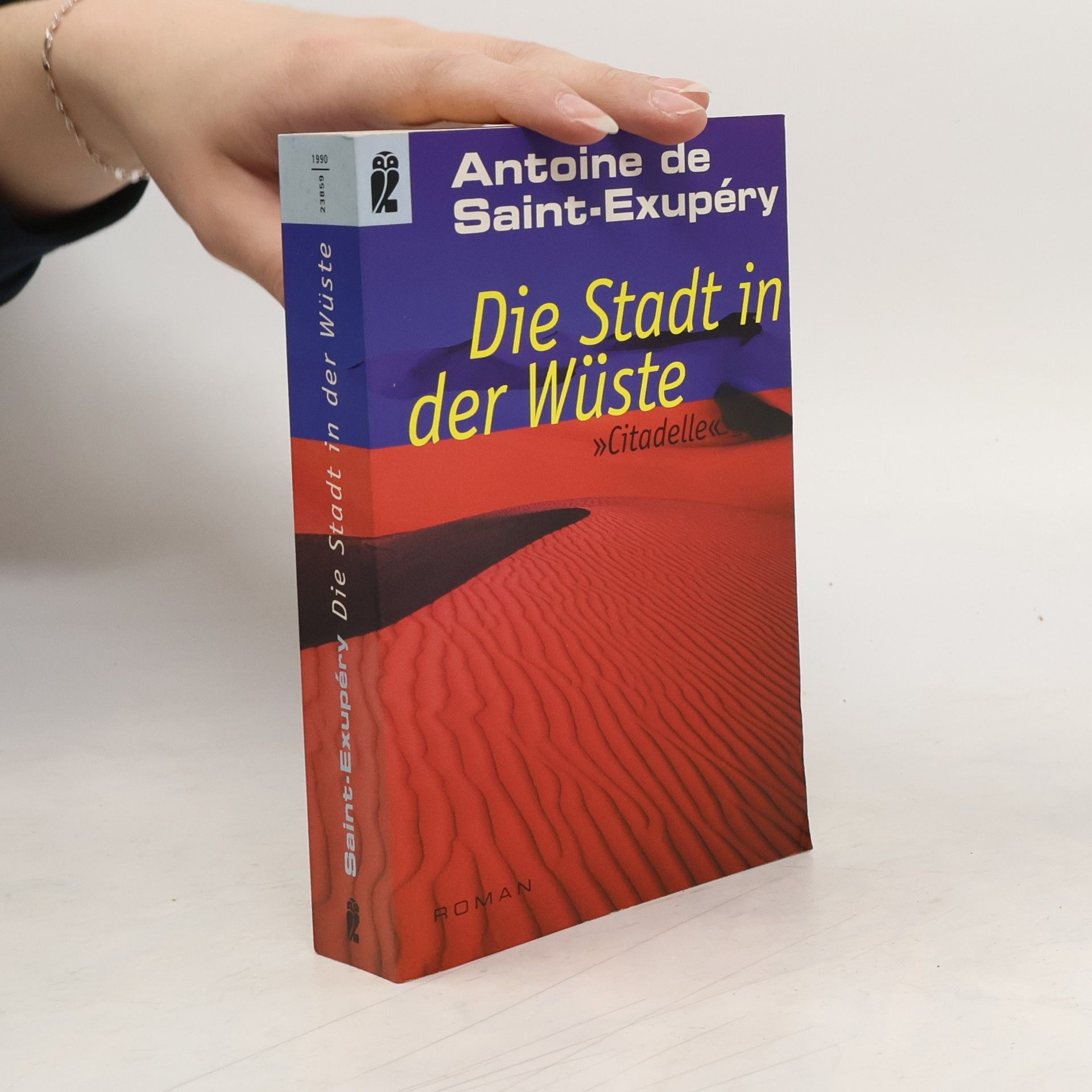 Antoine de Saint-Exupéry Die Stadt in der Wüste