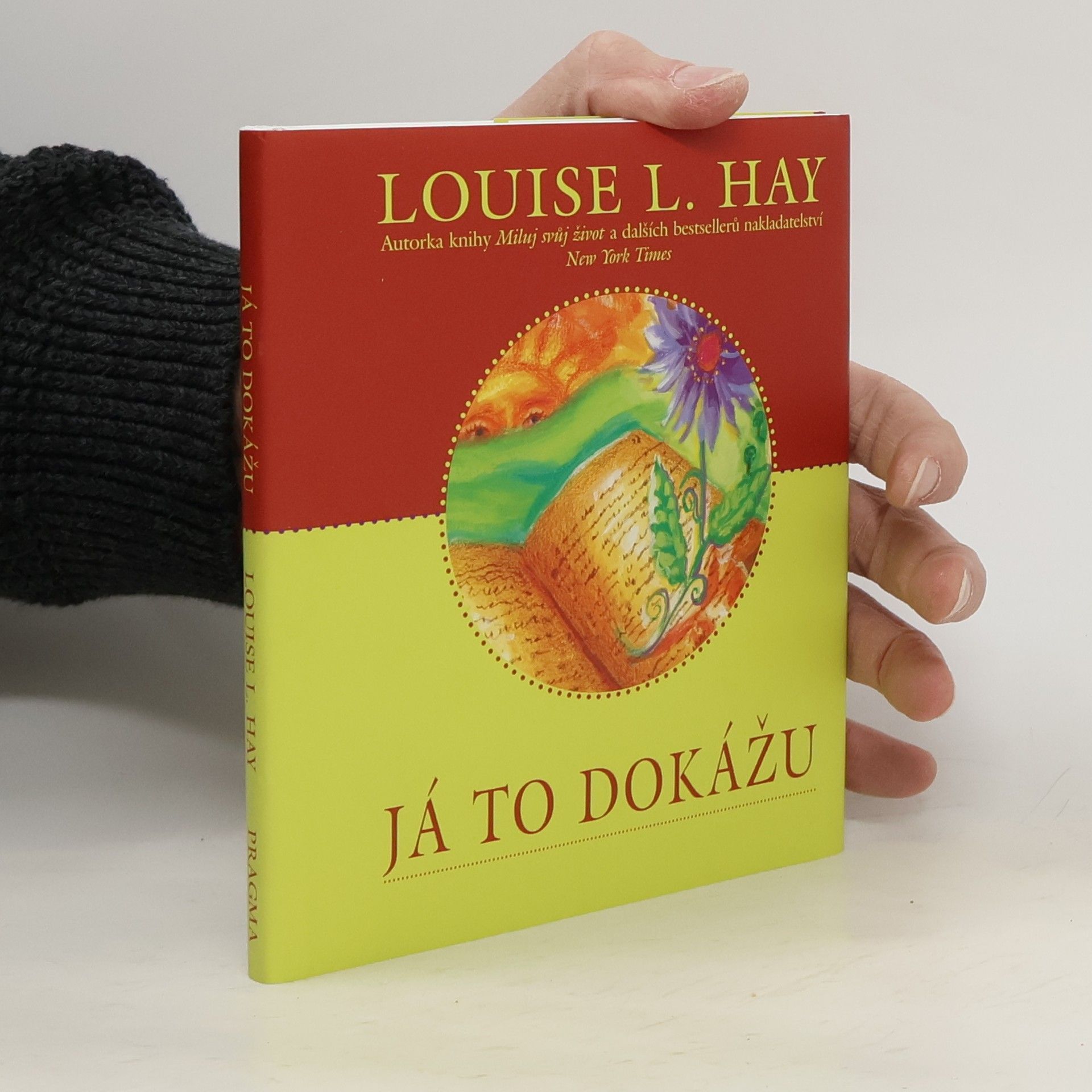 Louise Lynn Hay Já to dokážu