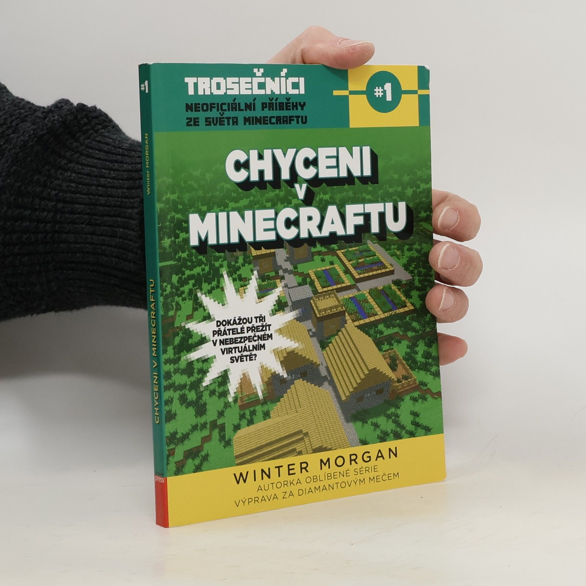 Trosečníci. Kniha první, Chyceni v Minecraftu