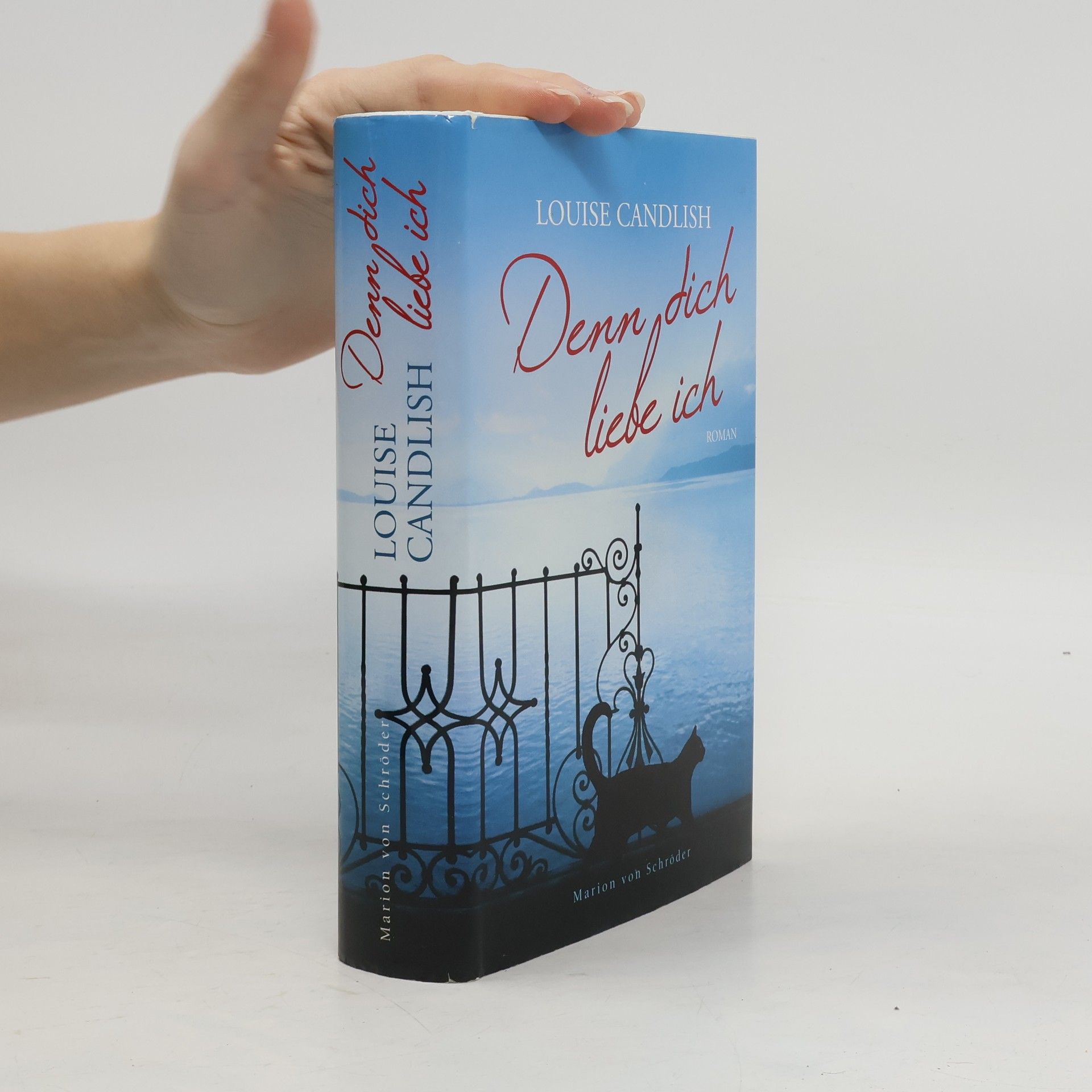 Louise Candlish Denn Dich Liebe Ich