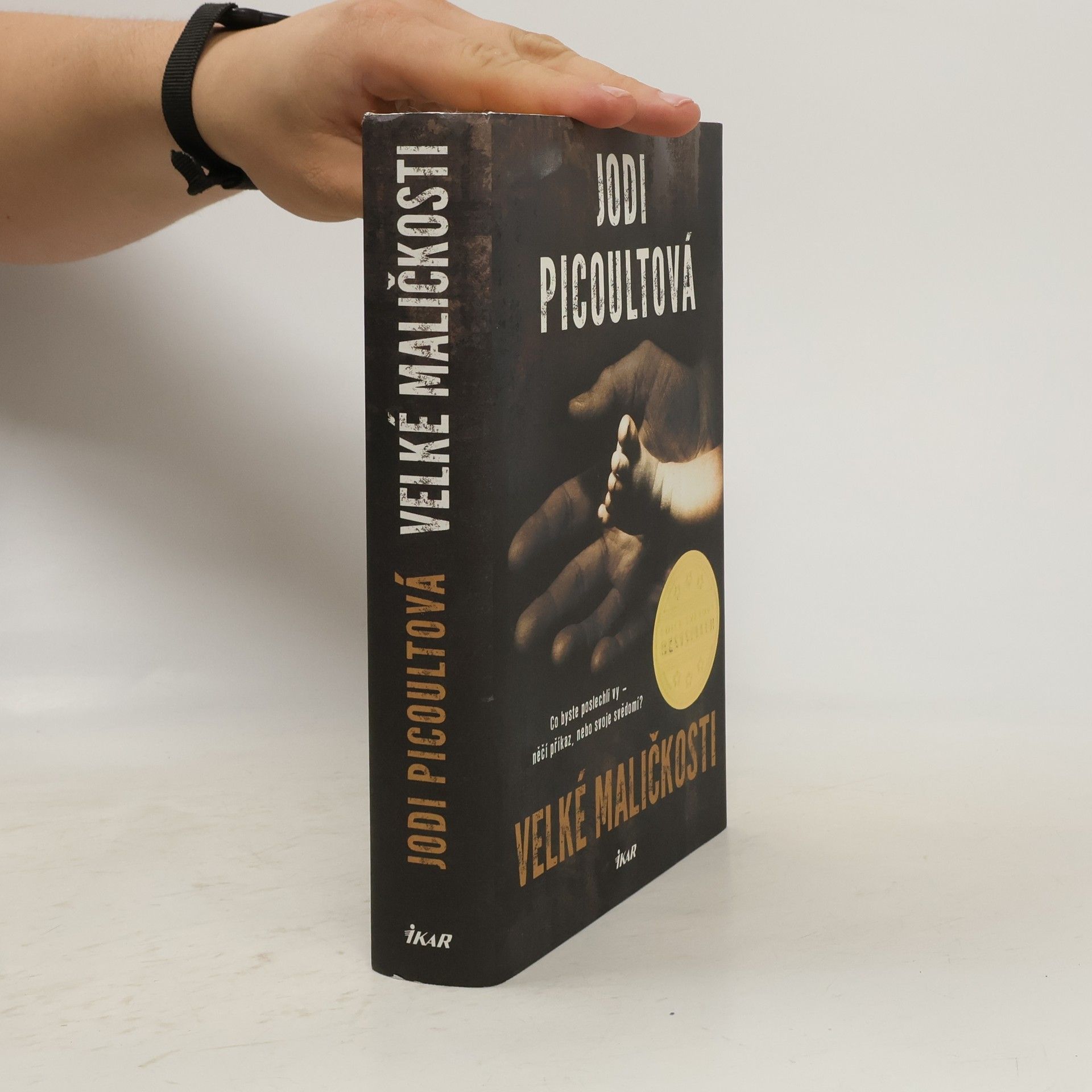 Jodi Picoult Velké maličkosti