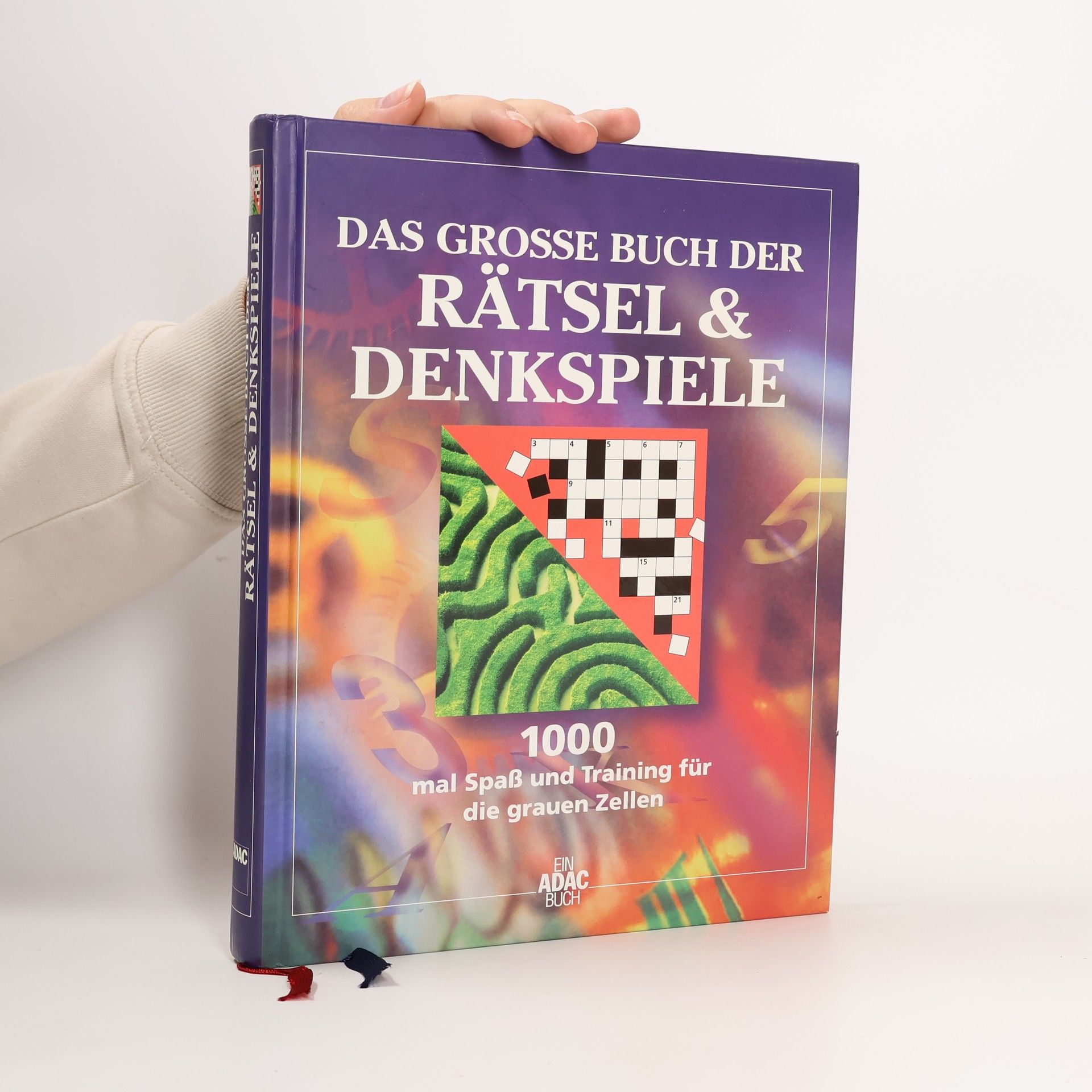 Das grosse Buch der Rätsel & Denkspiele