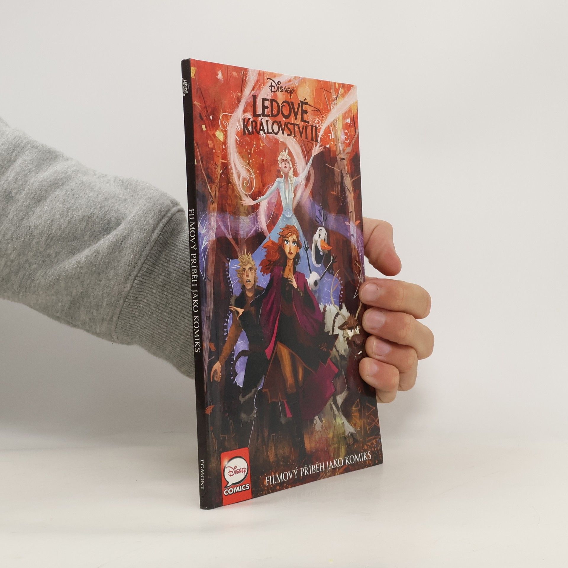 Collectif d'auteurs Ledové království II