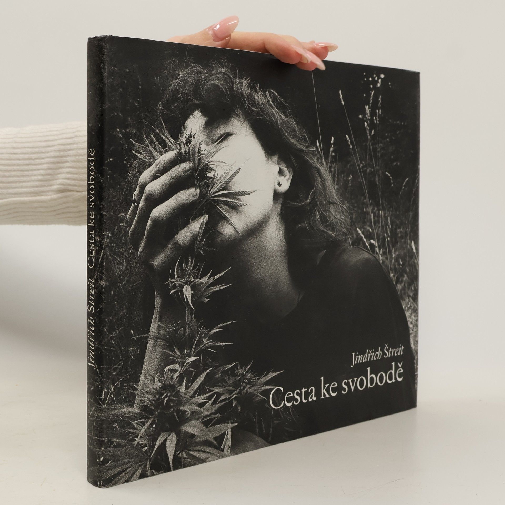 Cesta ke svobodě = The road towards freedom = Weg zur Freiheit