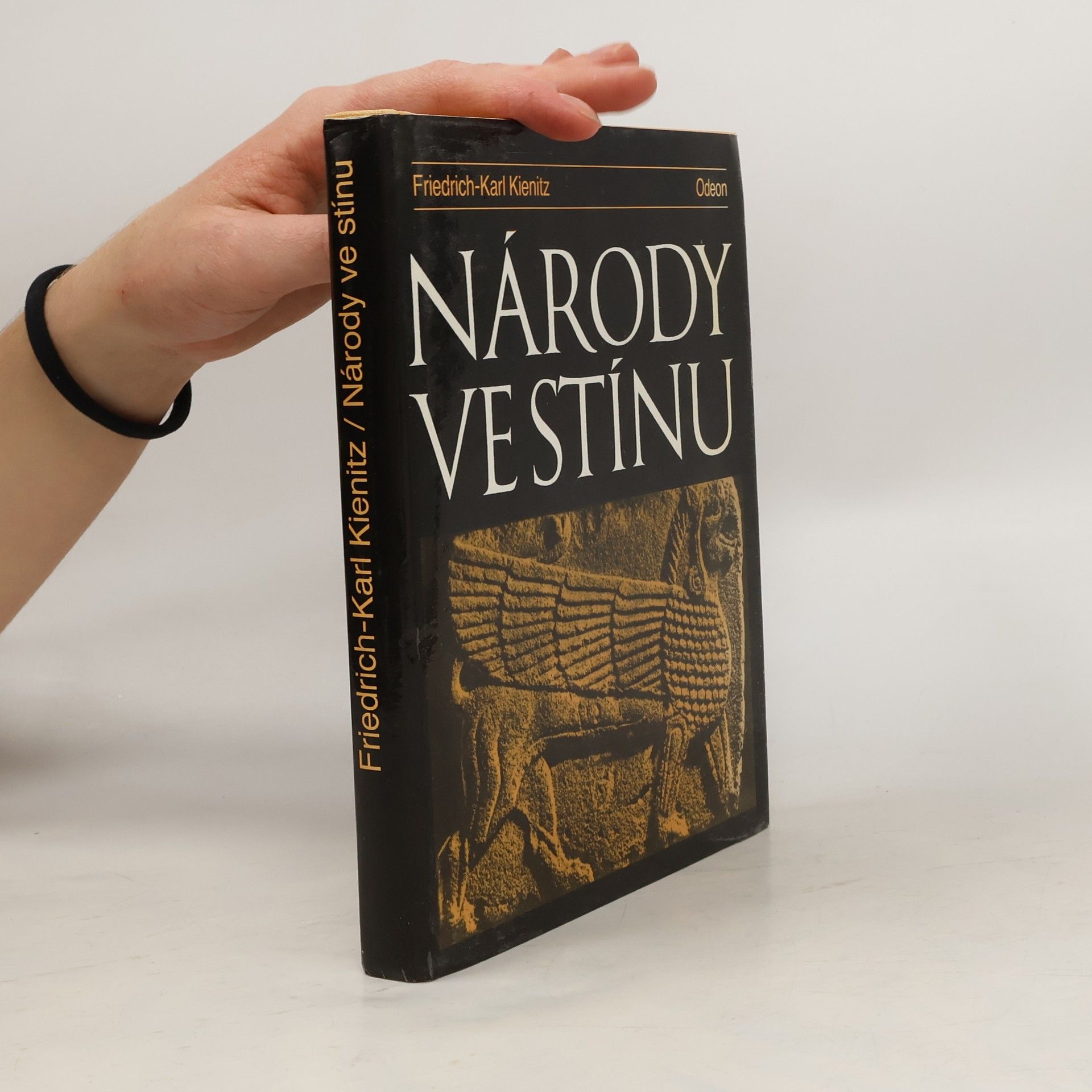 Friedrich Karl Kienitz Národy ve stínu