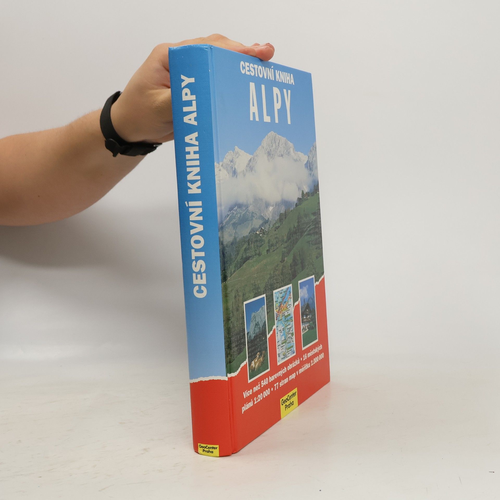 Dieter Maier Cestovní kniha : Alpy