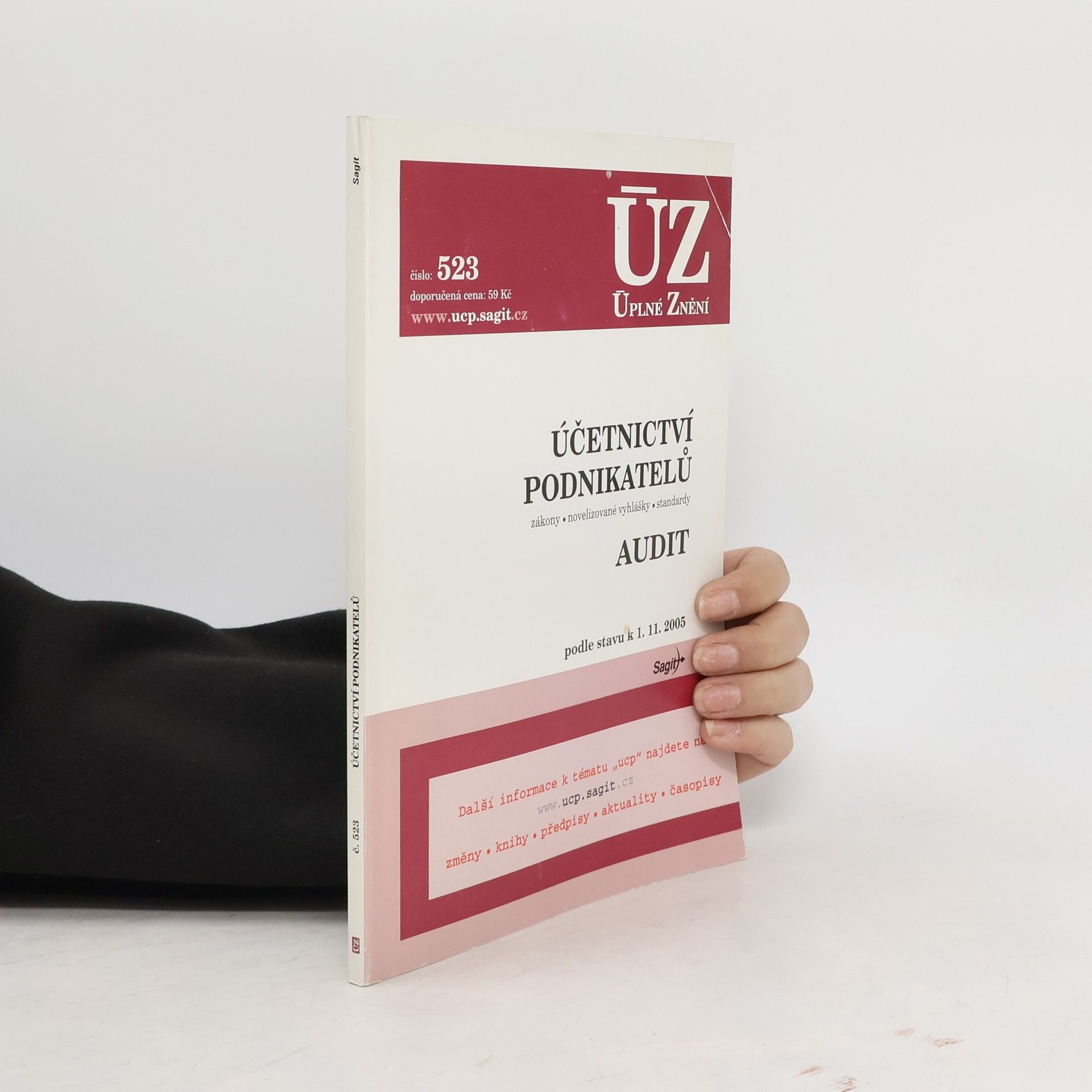 Autorenkollektiv Účetnictví podnikatelů, Audit. Zákony, novelizace vyhlášky, standardy : podle stavu k 1.1.2005