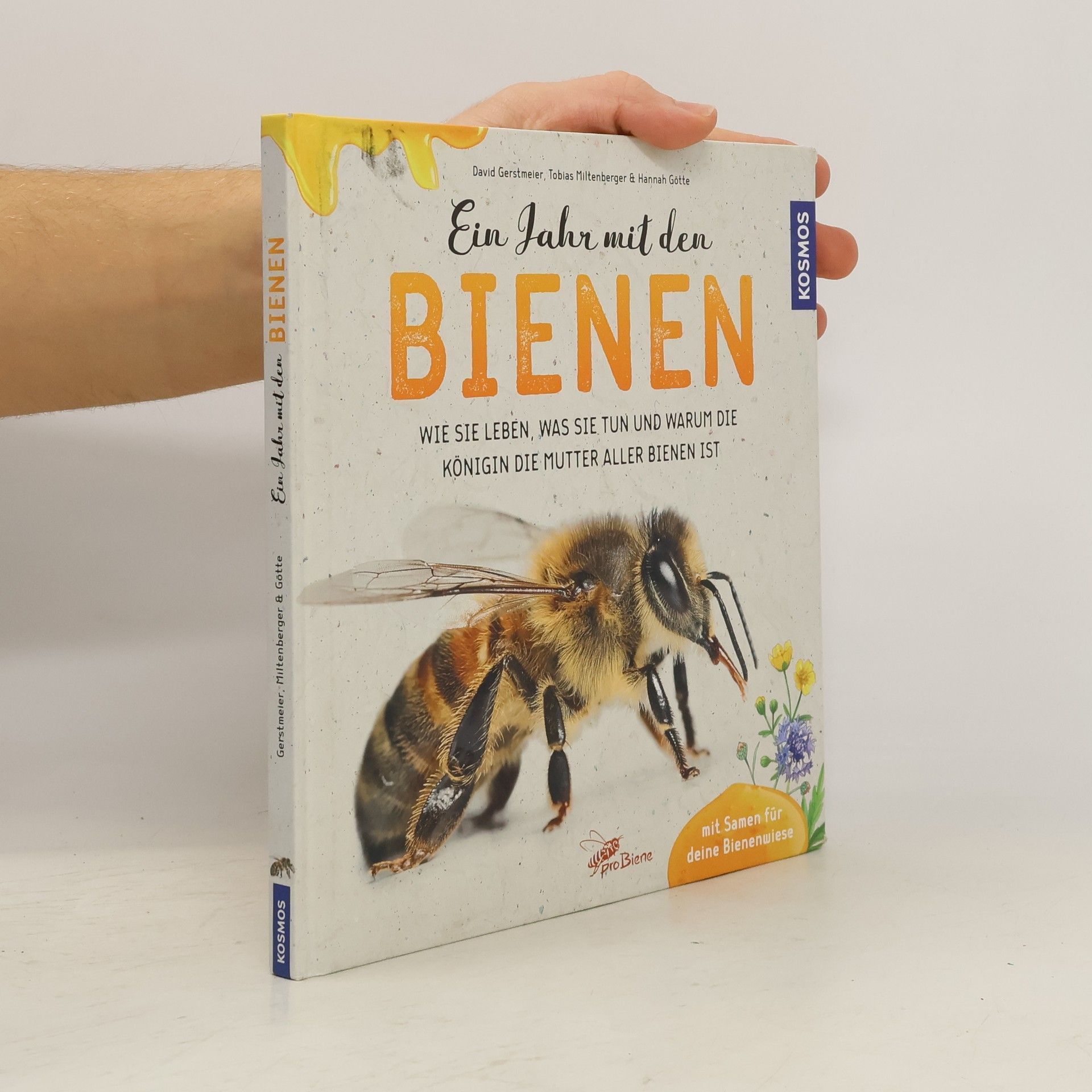 Ein Jahr mit den Bienen