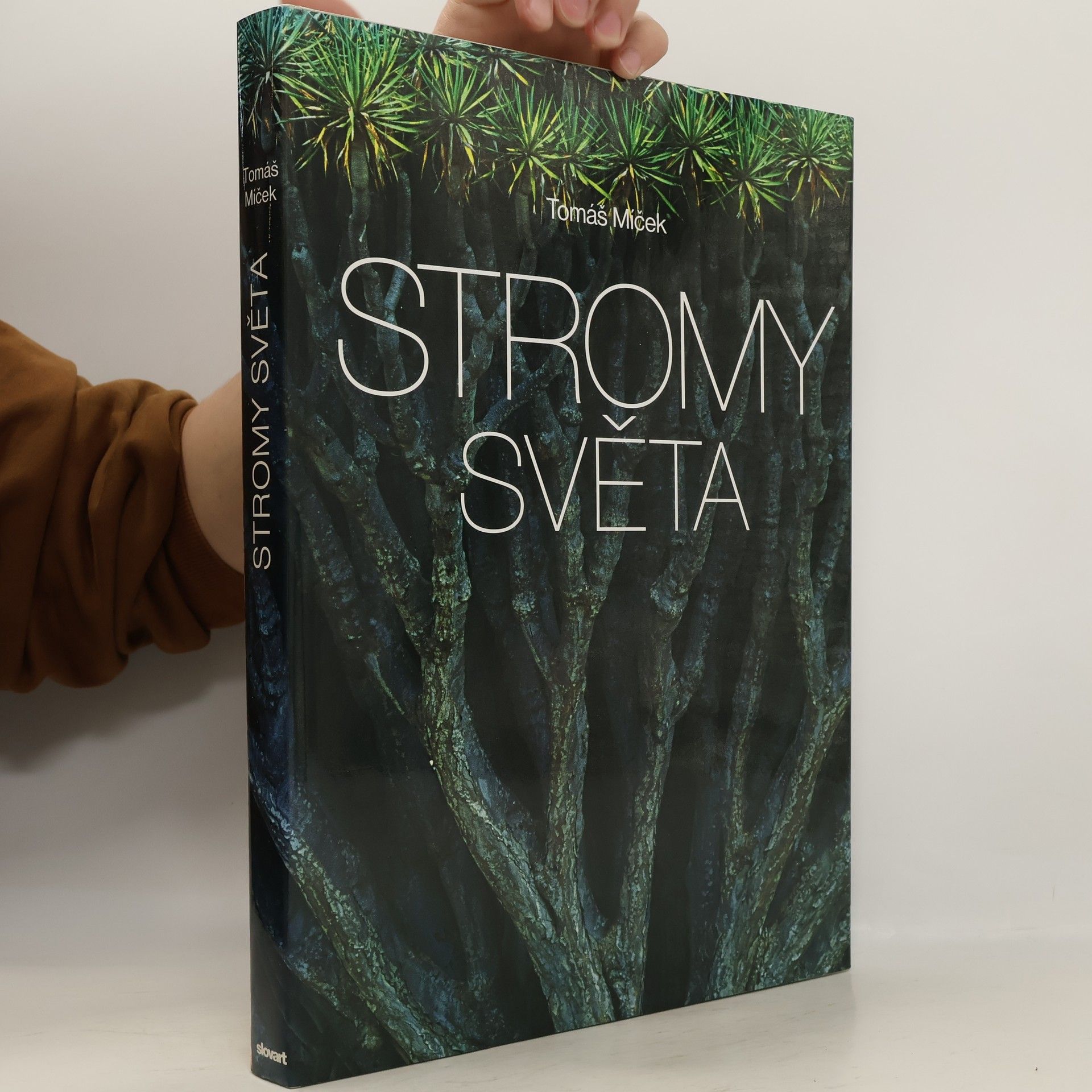 Tomáš Míček Stromy světa