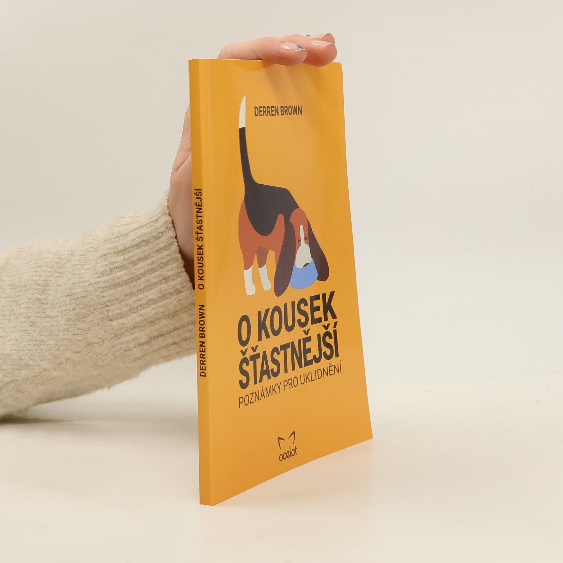 Derren Brown O kousek šťastnější