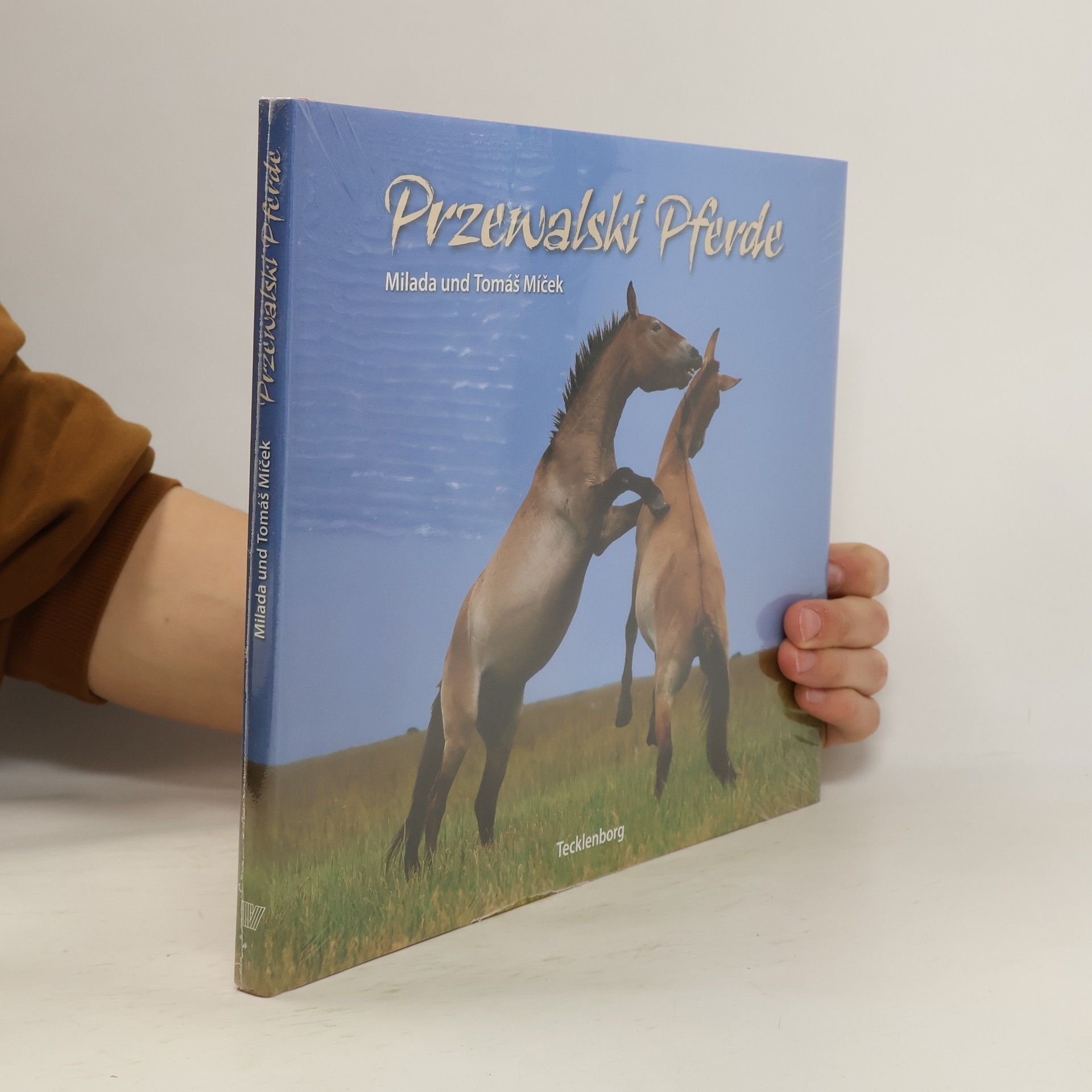 Milada Míček Przewalski-Pferde