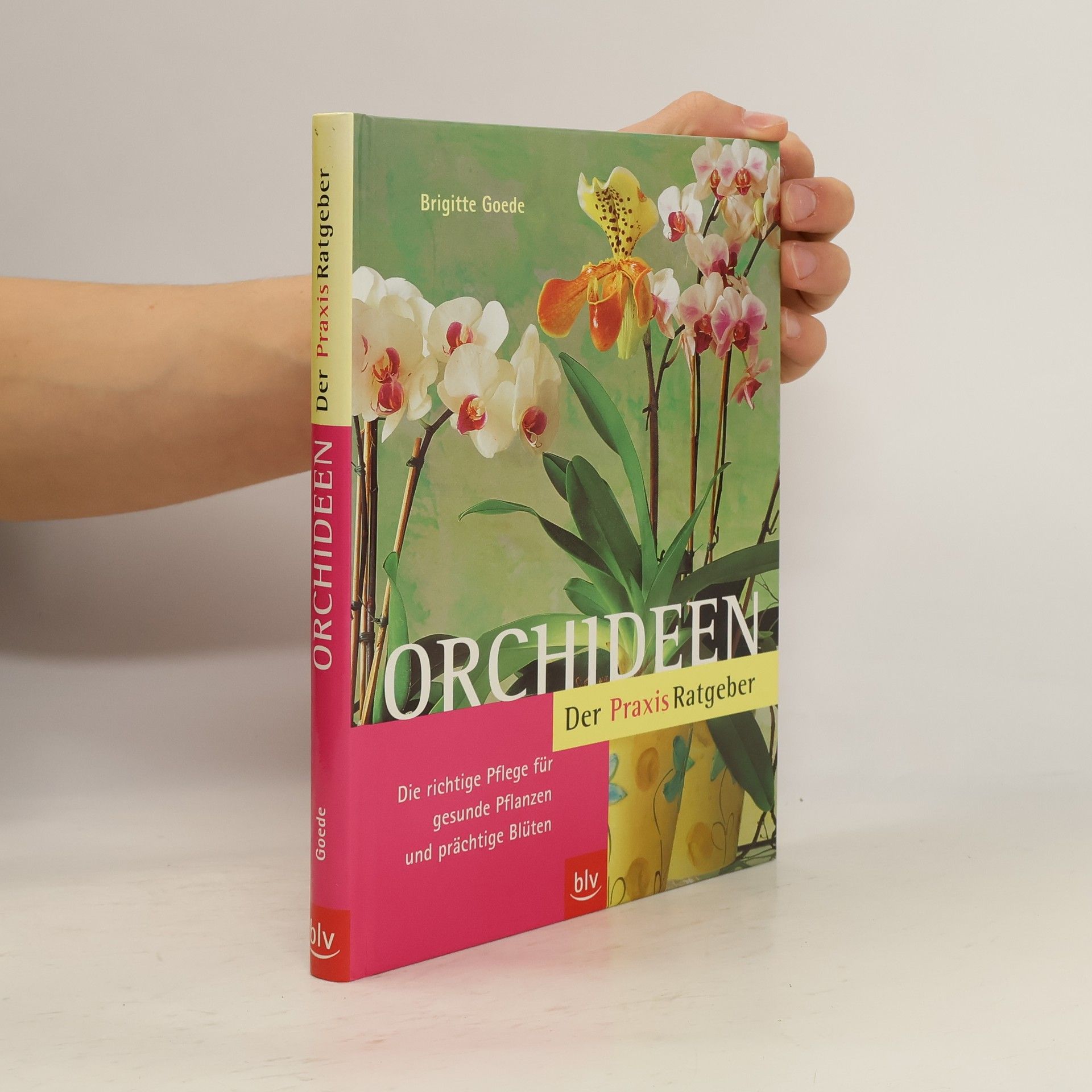Orchideen