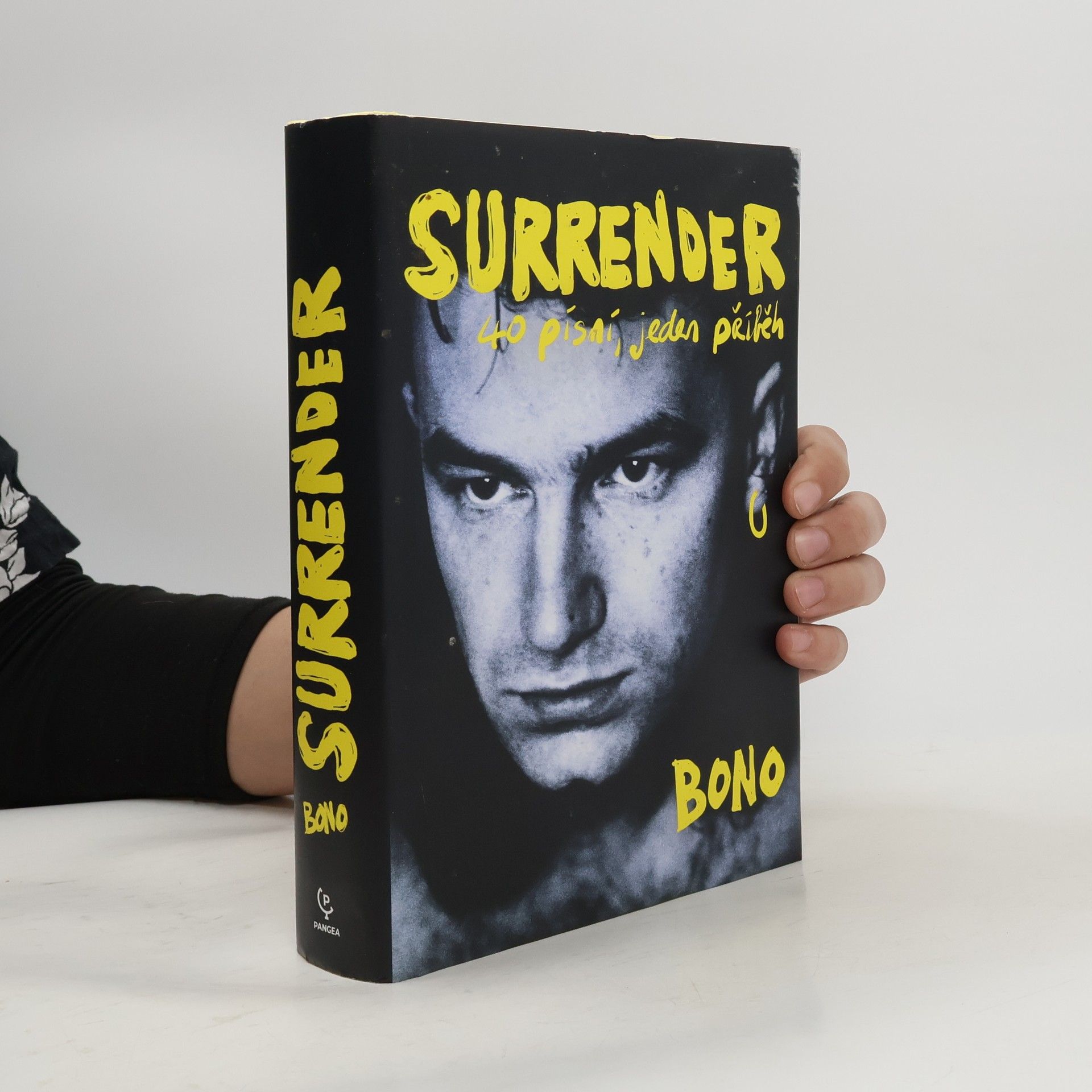 Surrender : 40 písní, jeden příběh