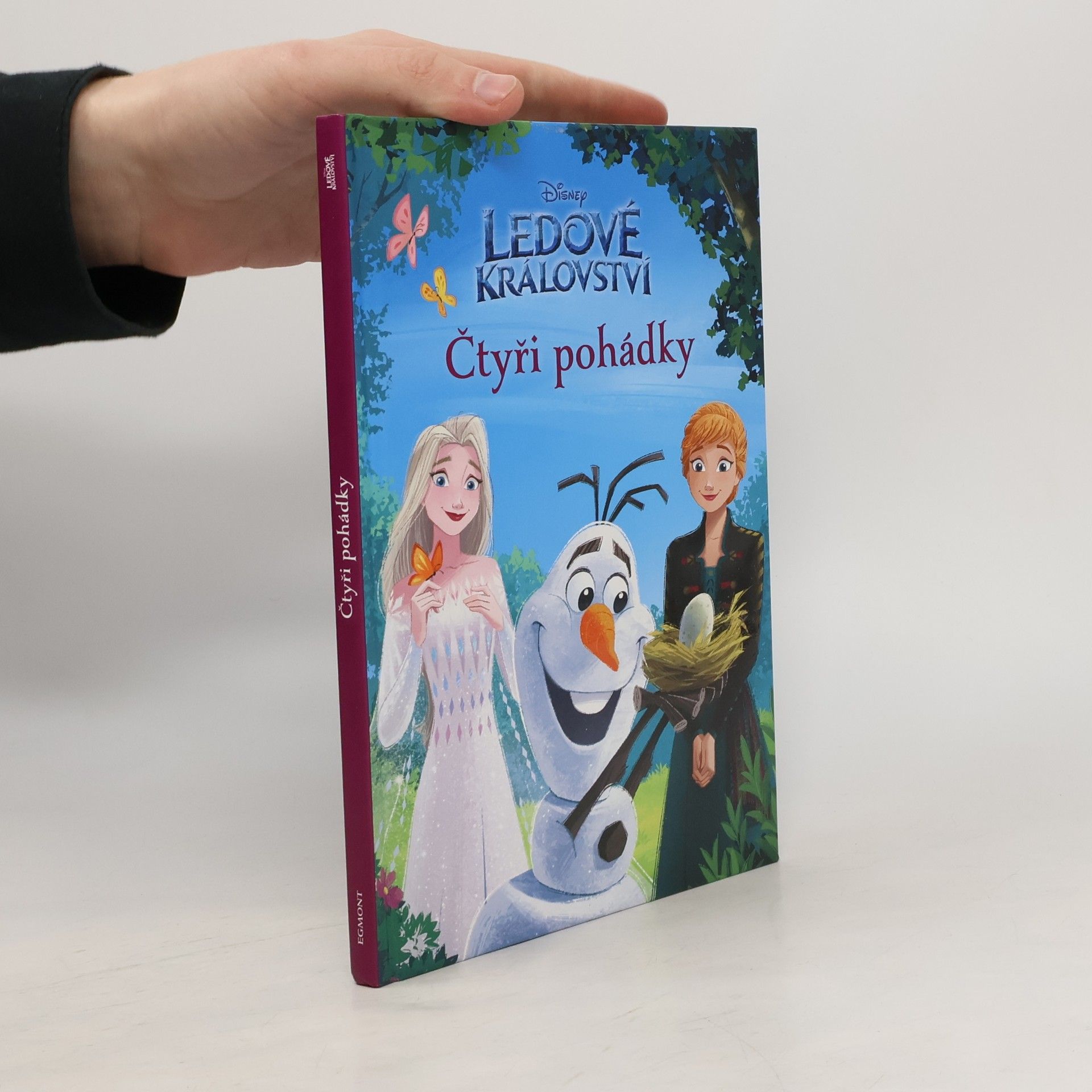 Collectif d'auteurs Ledové království: čtyři pohádky