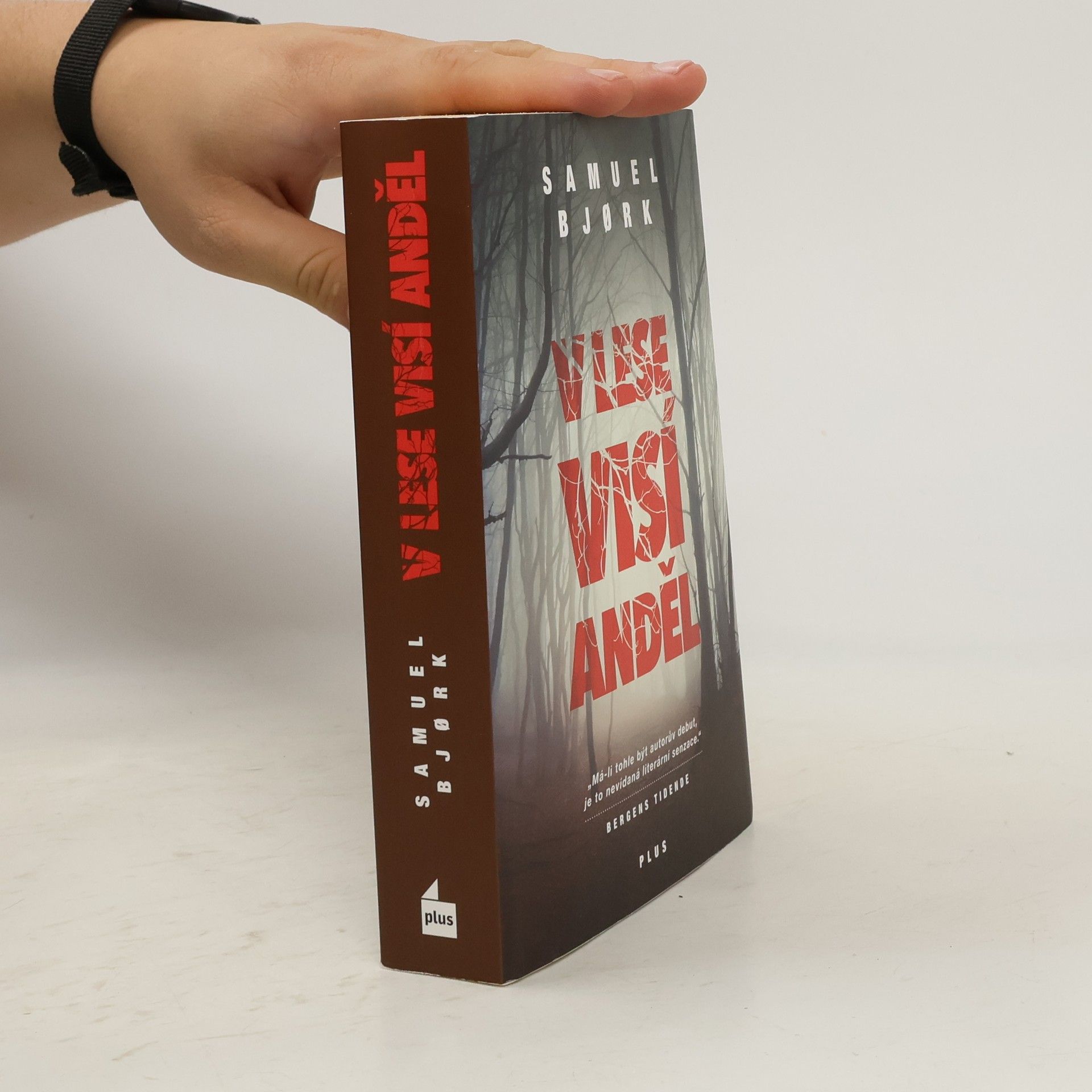 Samuel Bjork V lese visí anděl