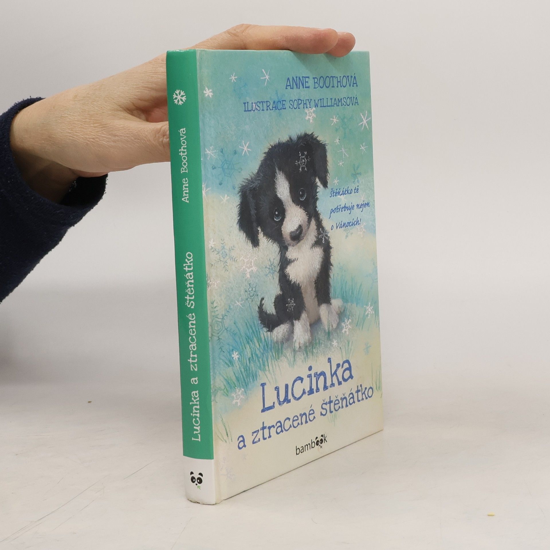 Anne Booth Lucinka a ztracené štěňátko