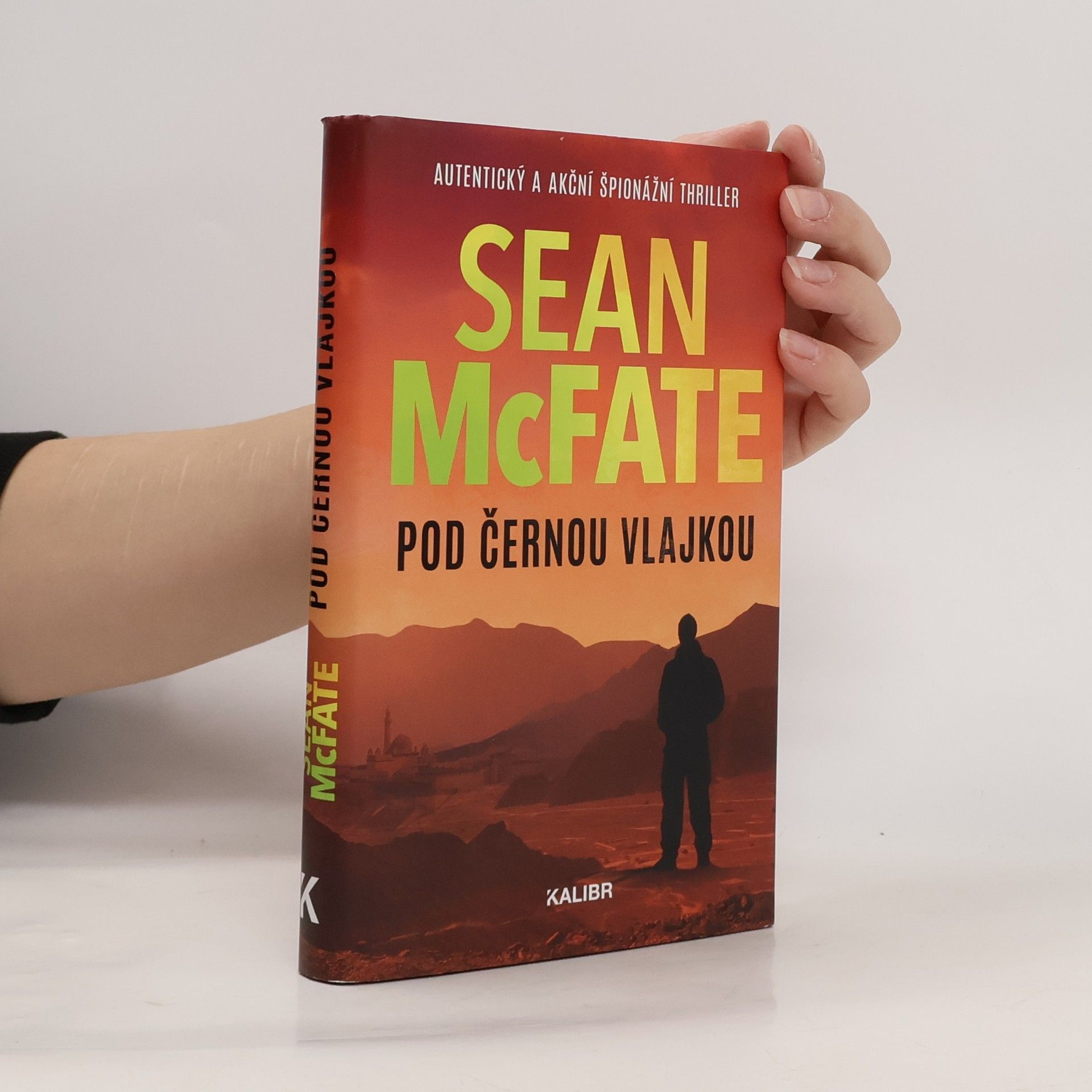 Sean McFate Pod černou vlajkou
