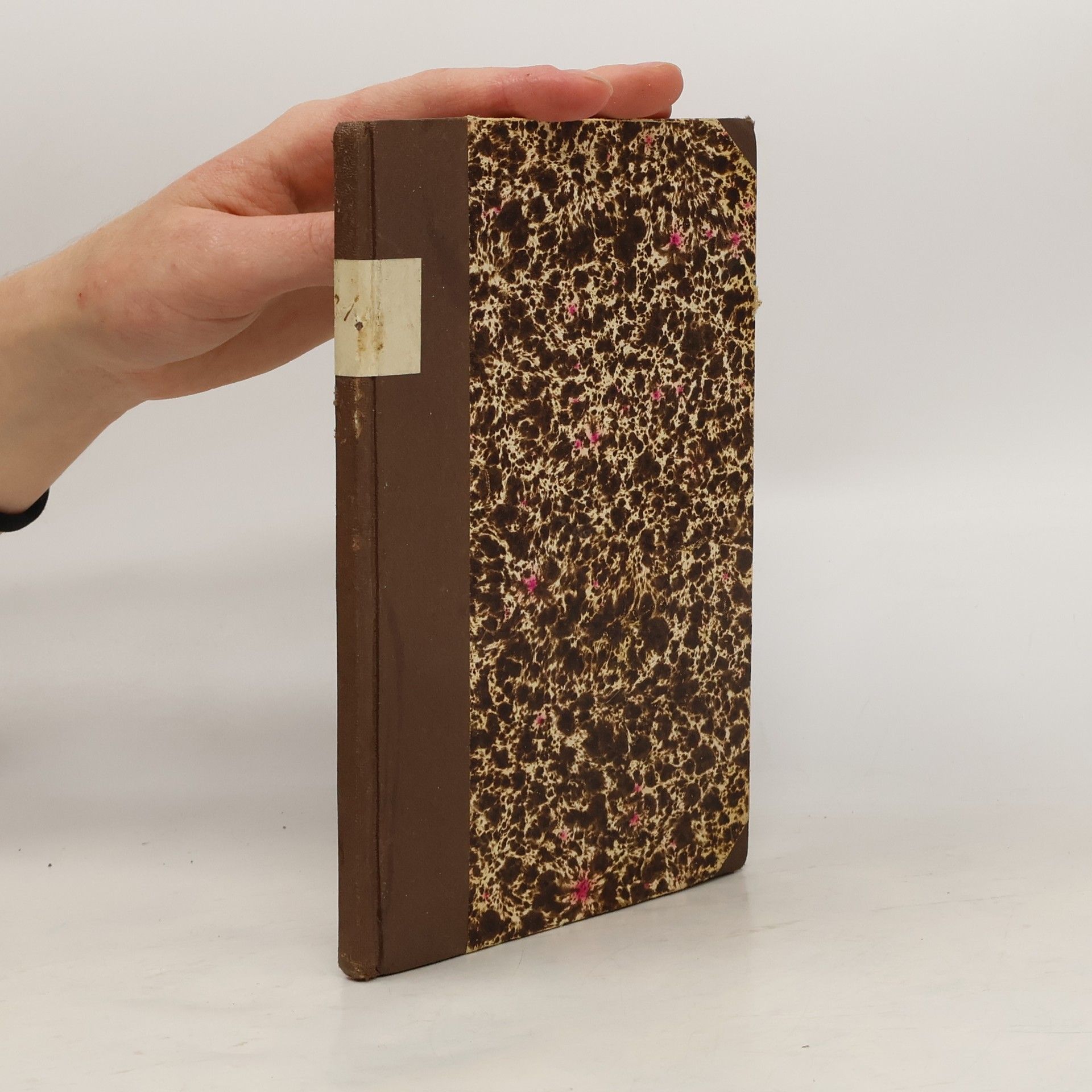 Matěj Anastasia Šimáček Lívanečky slečny Rózi