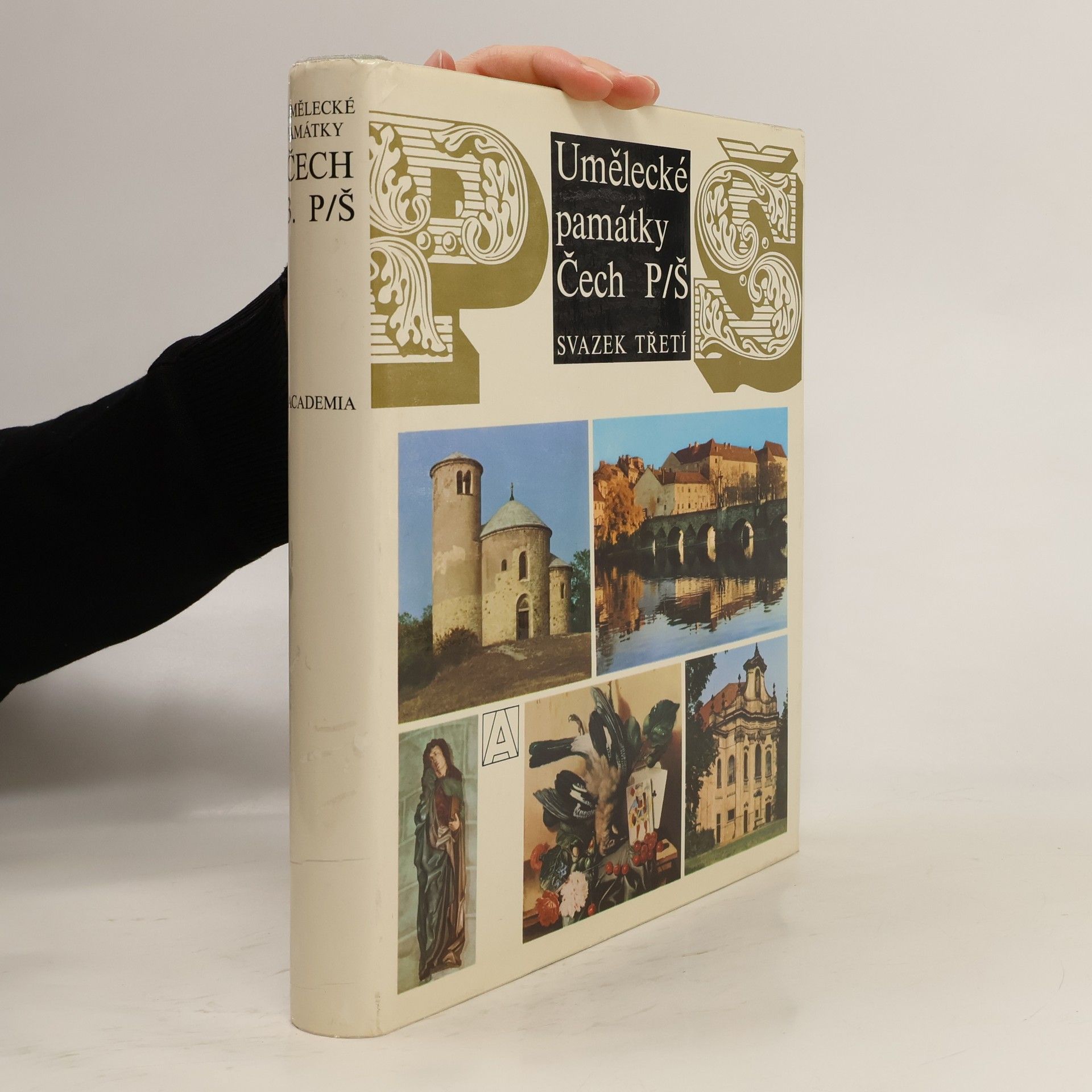 Autorenkollektiv Umělecké památky Čech 3. P-Š