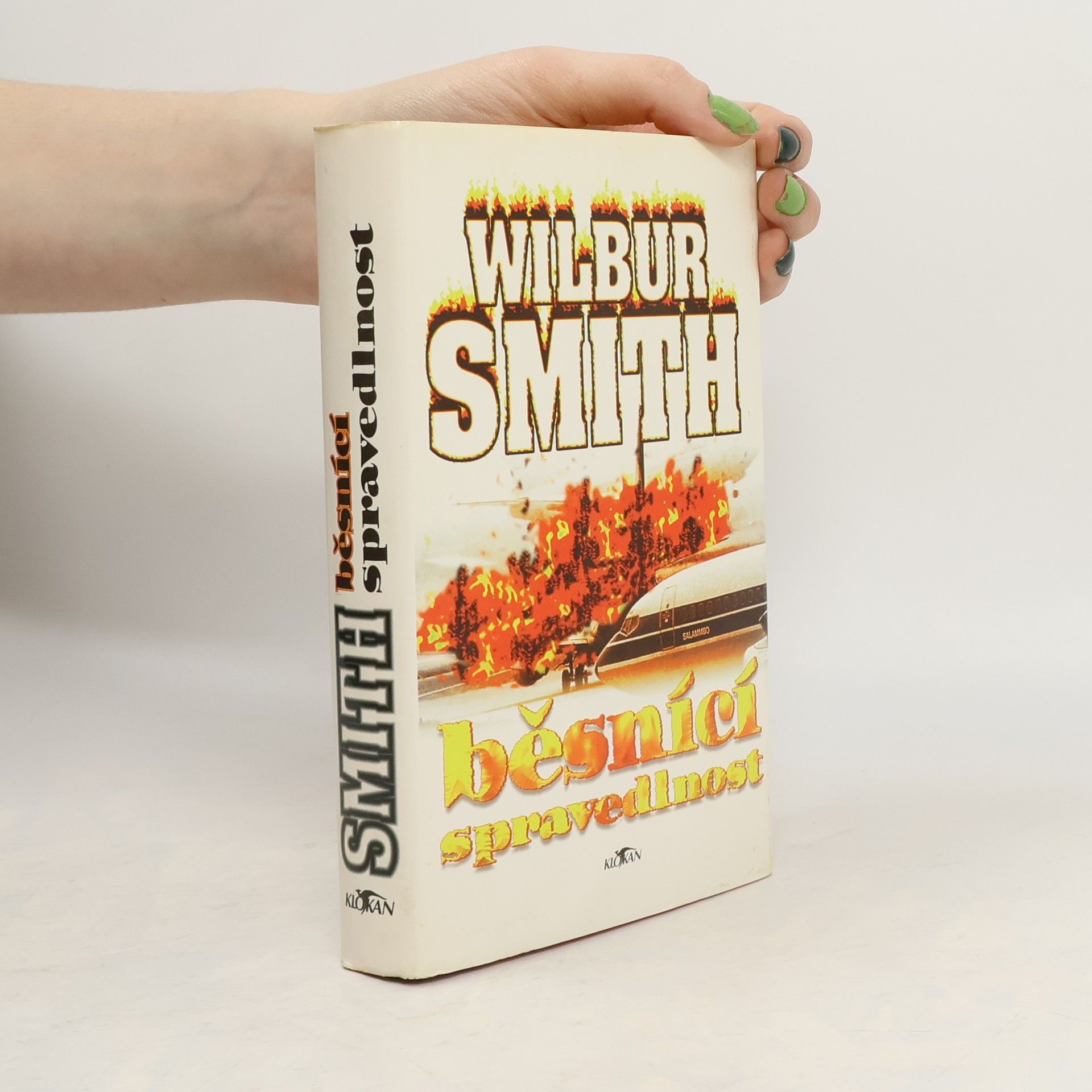 Wilbur Smith Běsnící spravedlnost