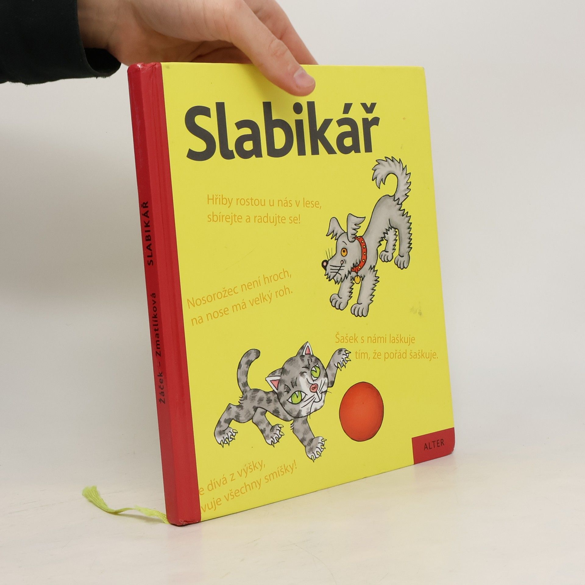 Jiří Žáček Slabikář : učebnice pro vzdělávací obor Český jazyk a literatura