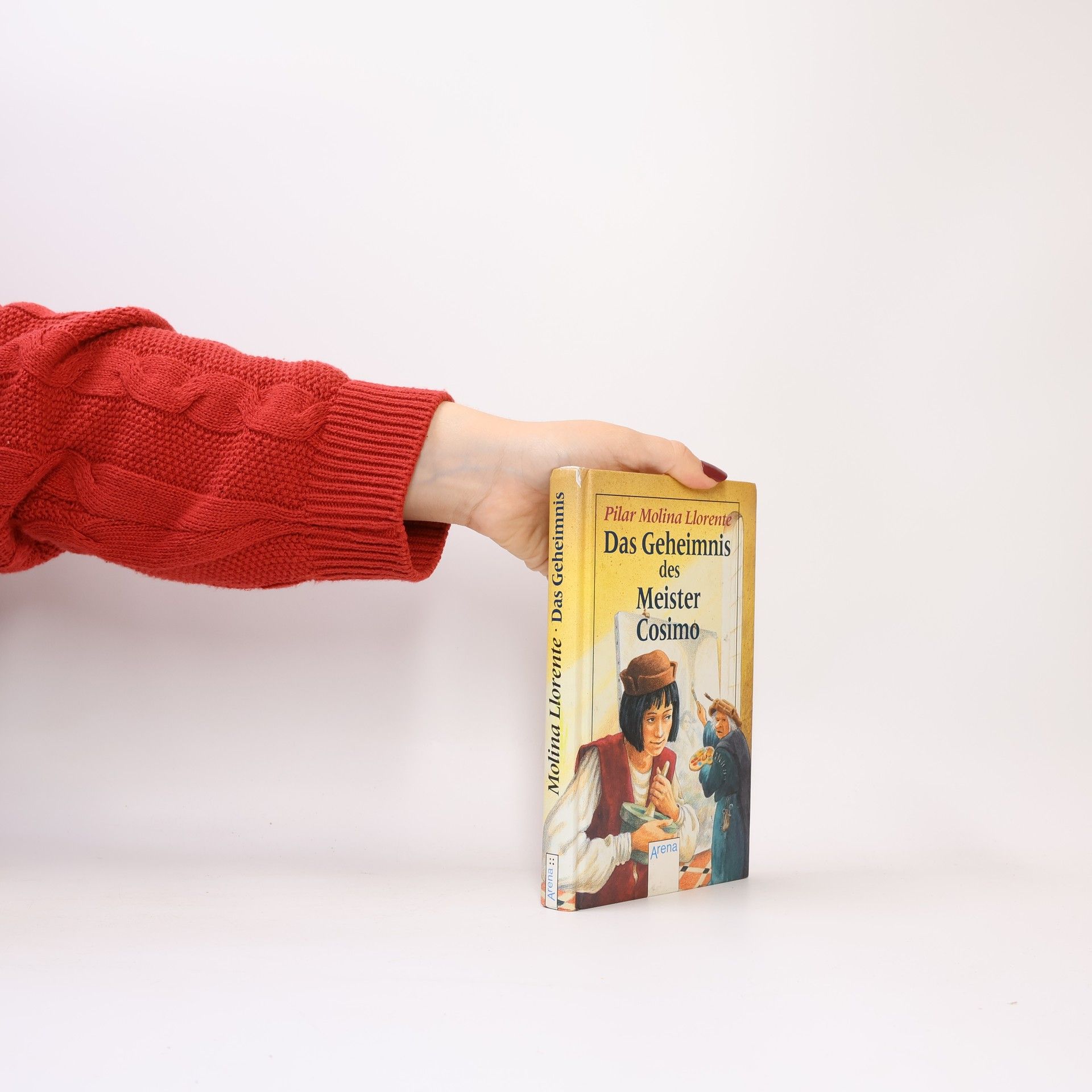 Pilar Molina Llorente Das Geheimnis des Meister Cosimo