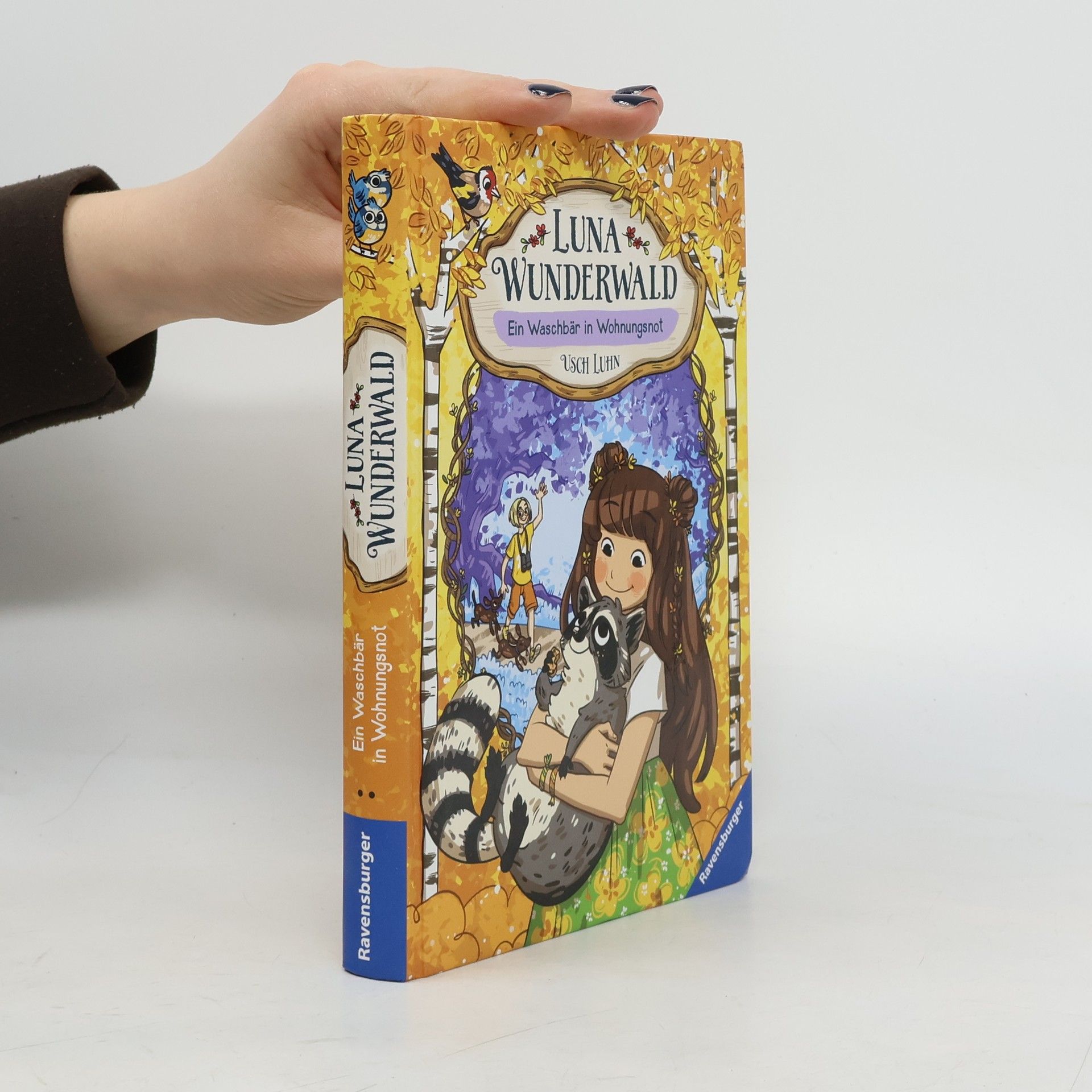 Usch Luhn Ein Waschbär in Wohnungsnot