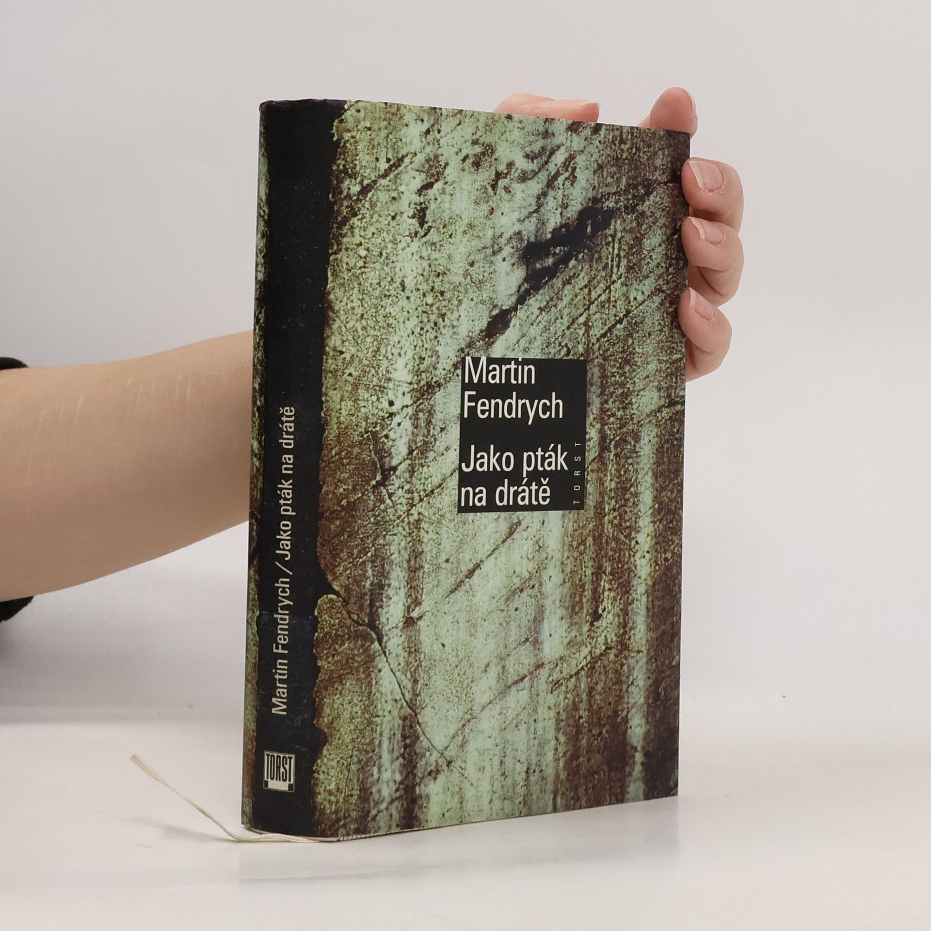 Martin Fendrych Jako pták na drátě