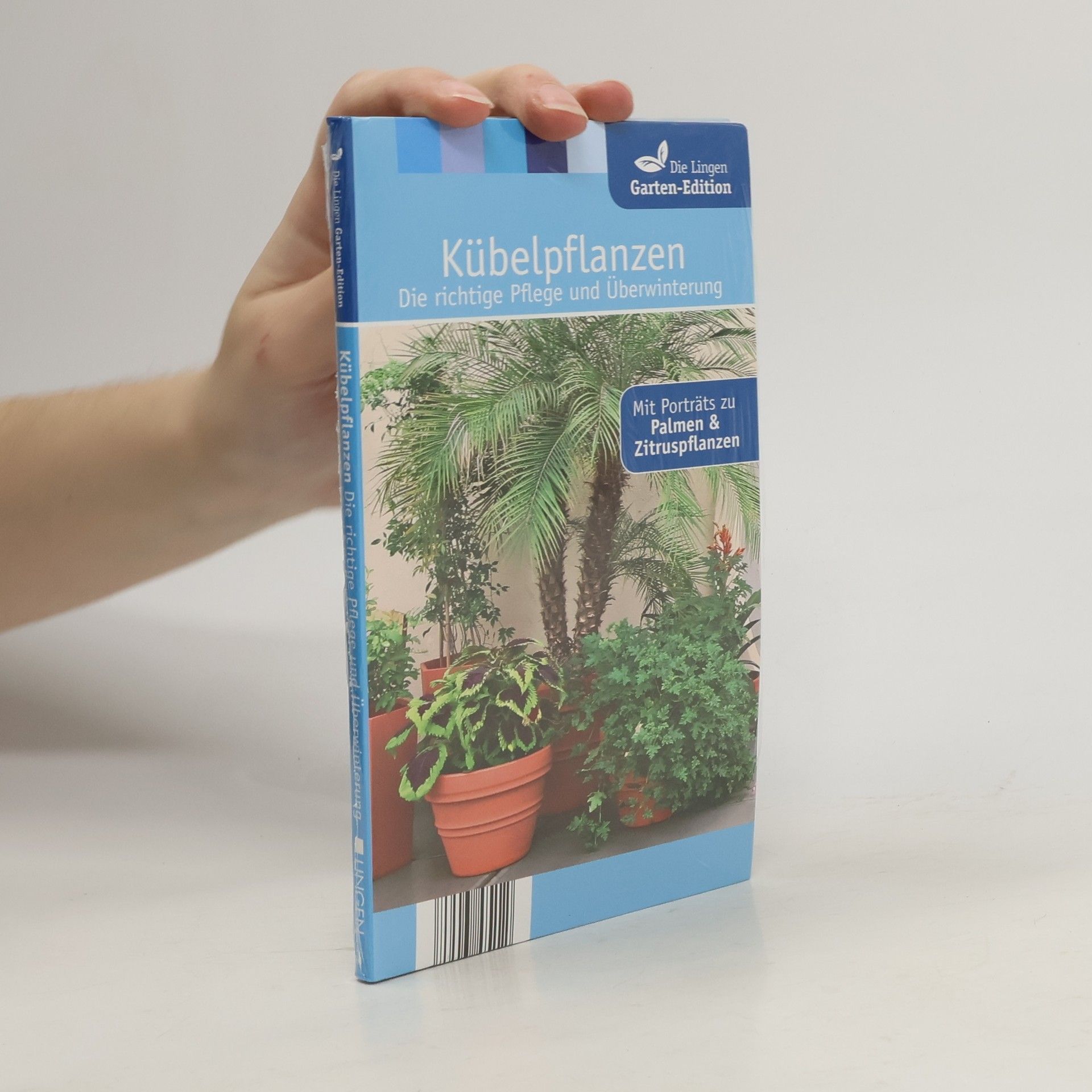 Autorenkollektiv Kübelpflanzen. Die richtige Pflege und Überwinterung