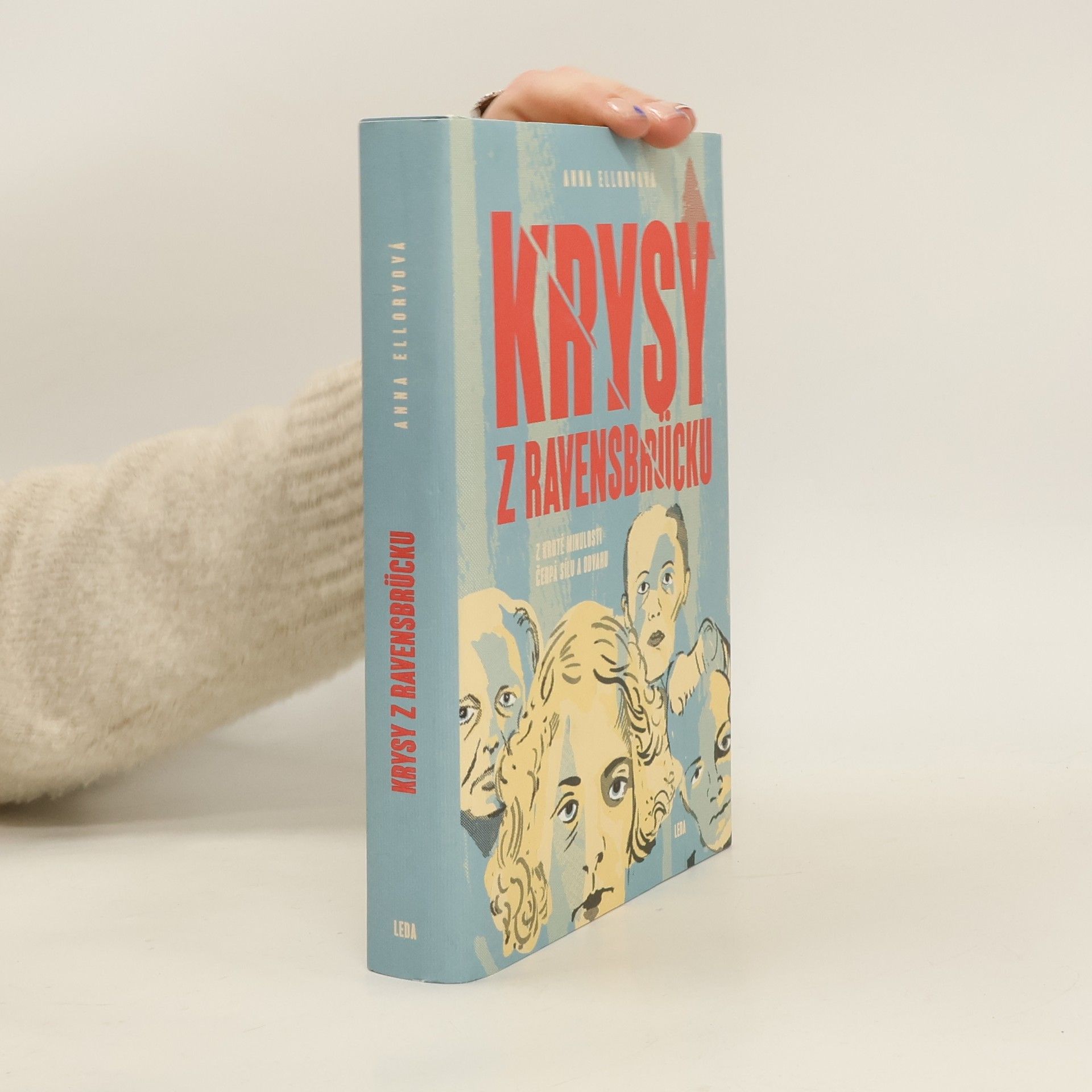 Anna Ellory Krysy z Ravensbrücku