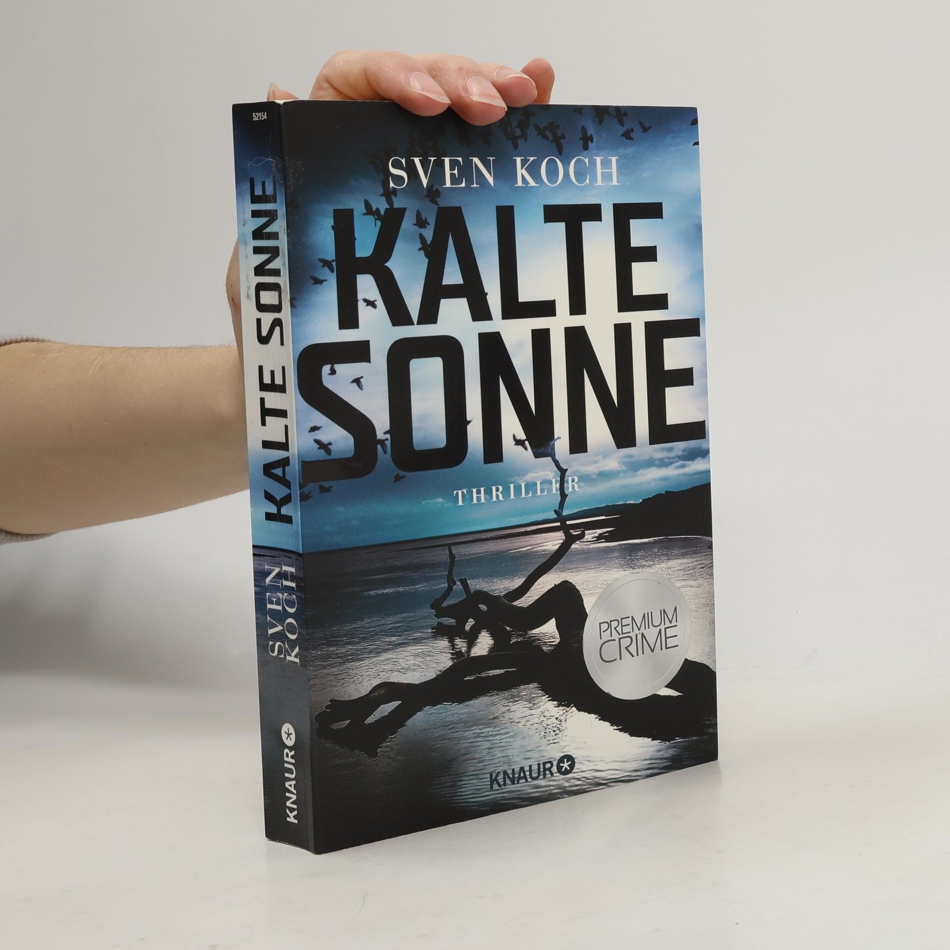 Sven Koch Kalte Sonne