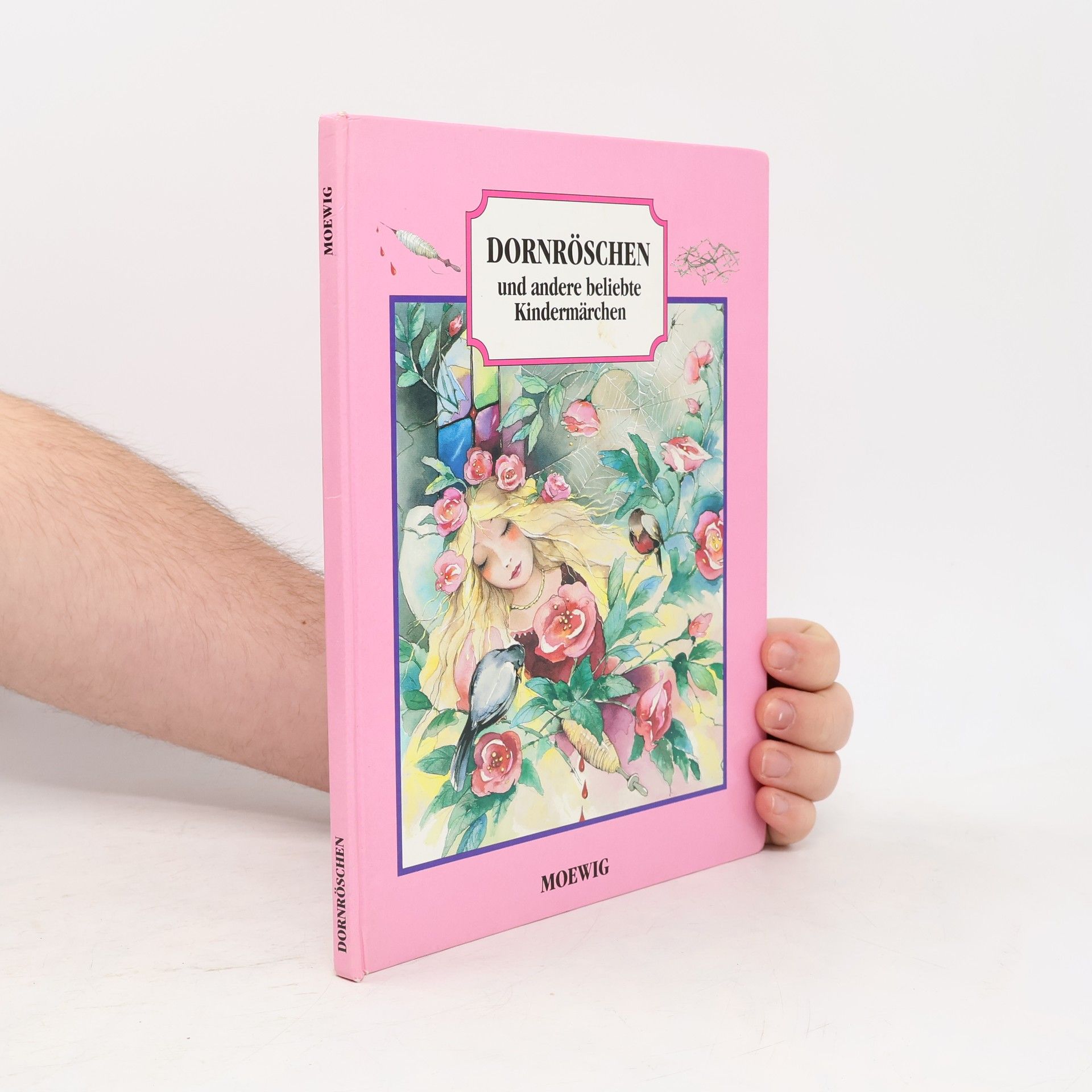 Autorenkollektiv Dornröschen und andere beliebte Kindermärchen