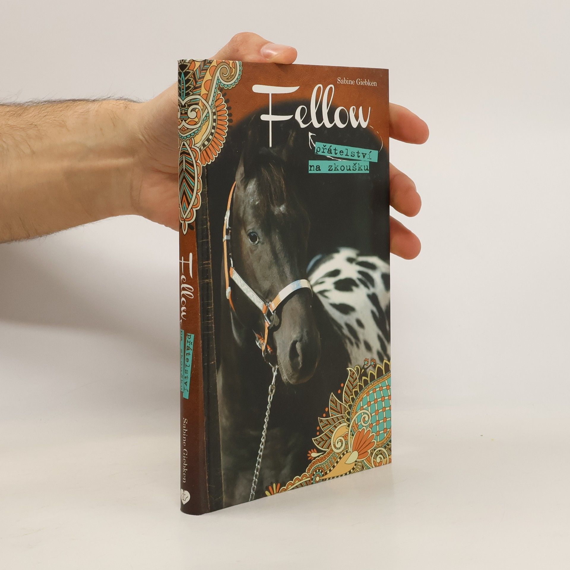 Sabine Giebken Fellow: Přátelství na zkoušku